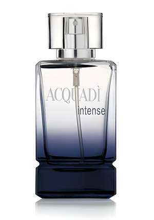 AcquaDi Intense by AcquaDì perfume bottle