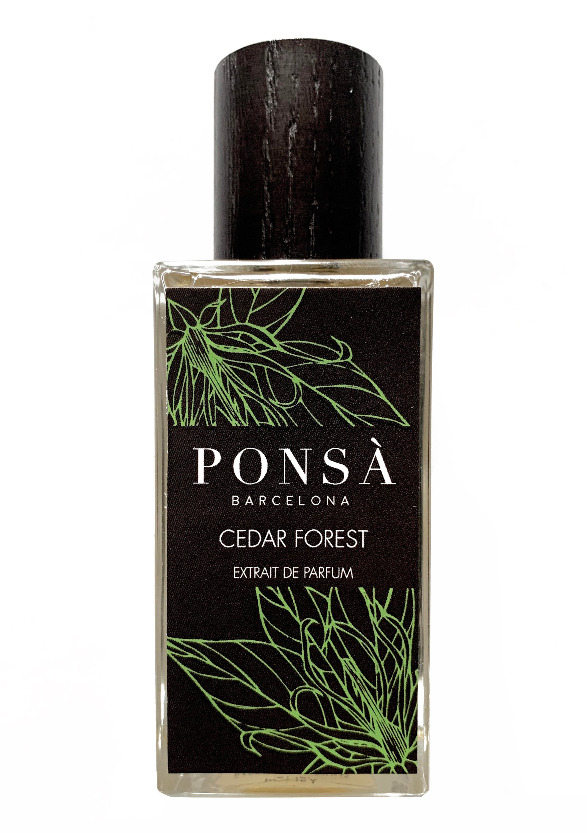 Picture of Cedar Forest fragrance
