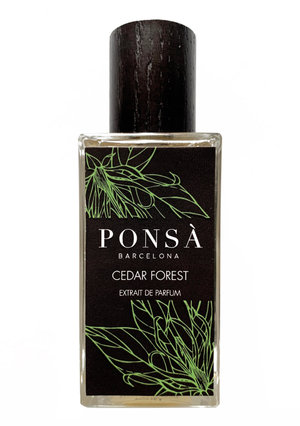 Cedar Forest by Ponsa perfume bottle