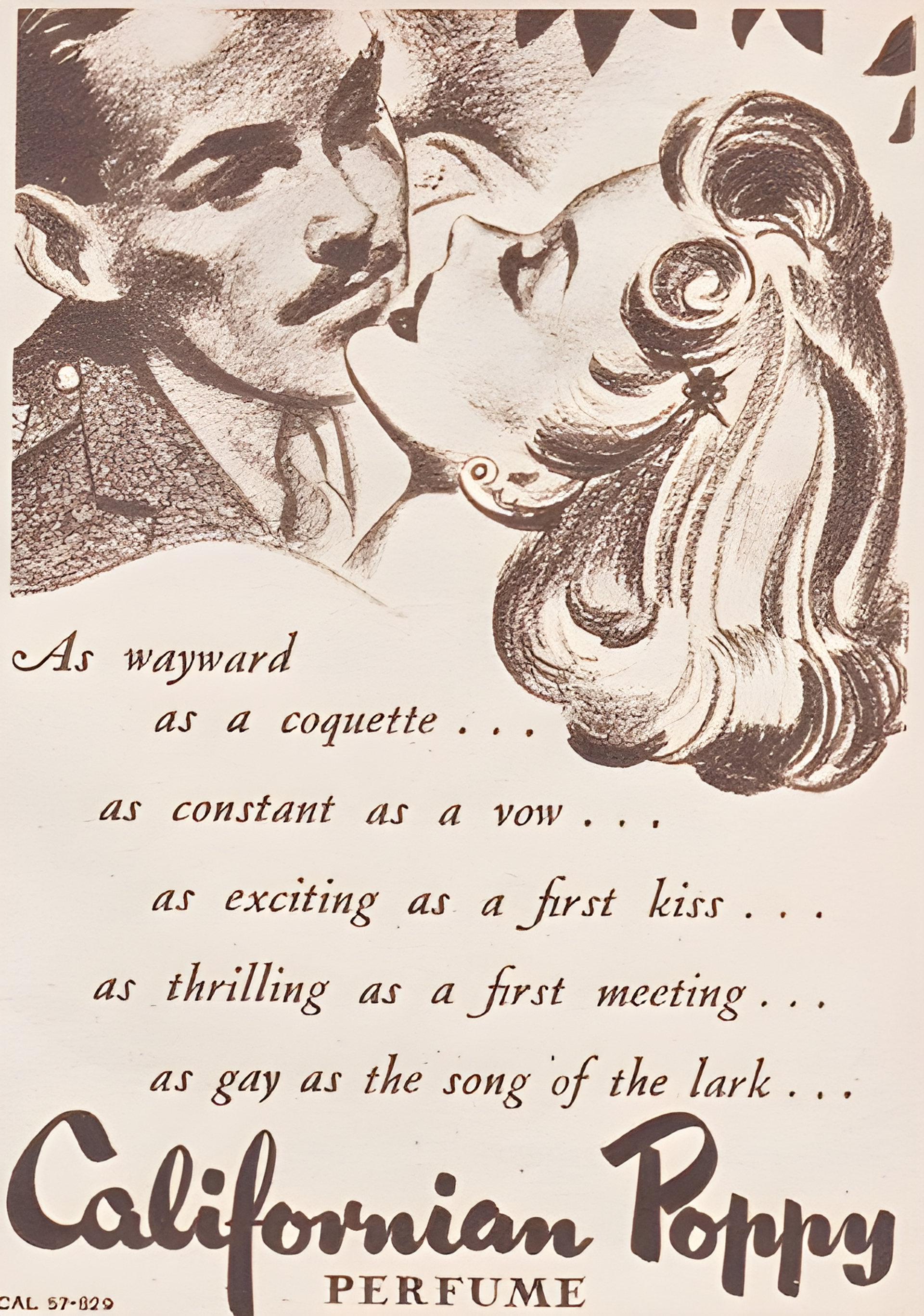 California Poppy by Atkinsons