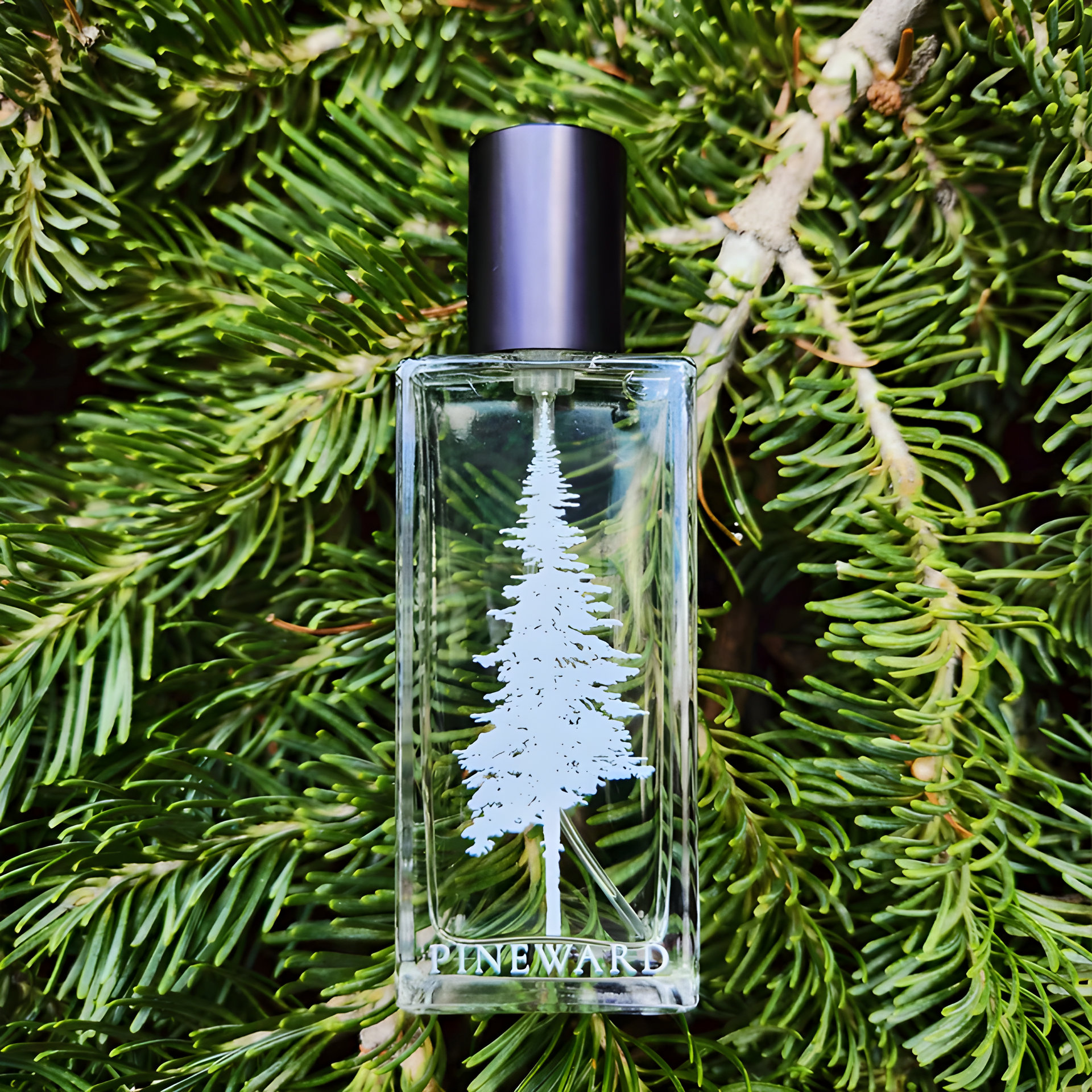 Picture of Greymist fragrance