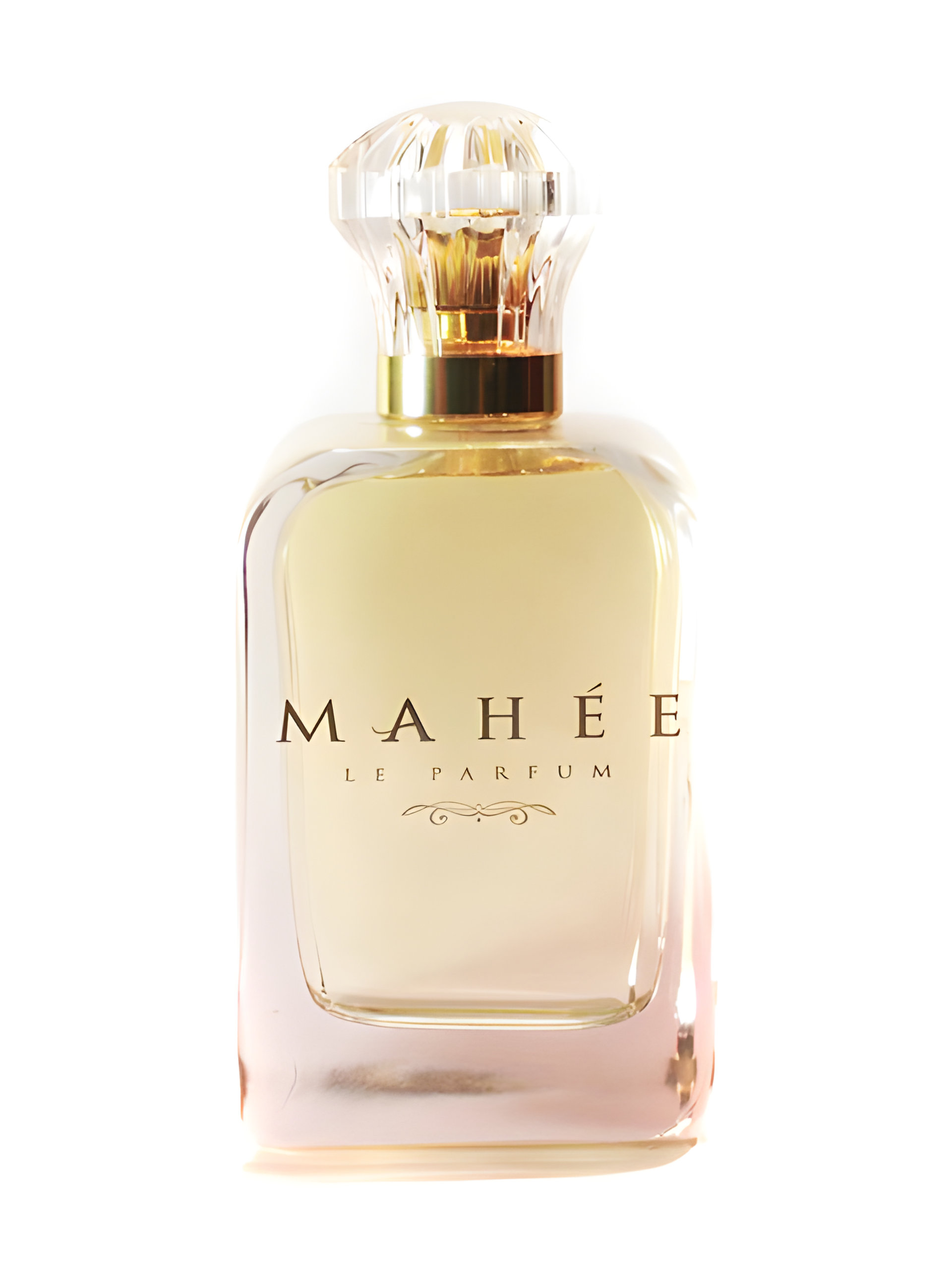 Mahée by Dans un Jardin