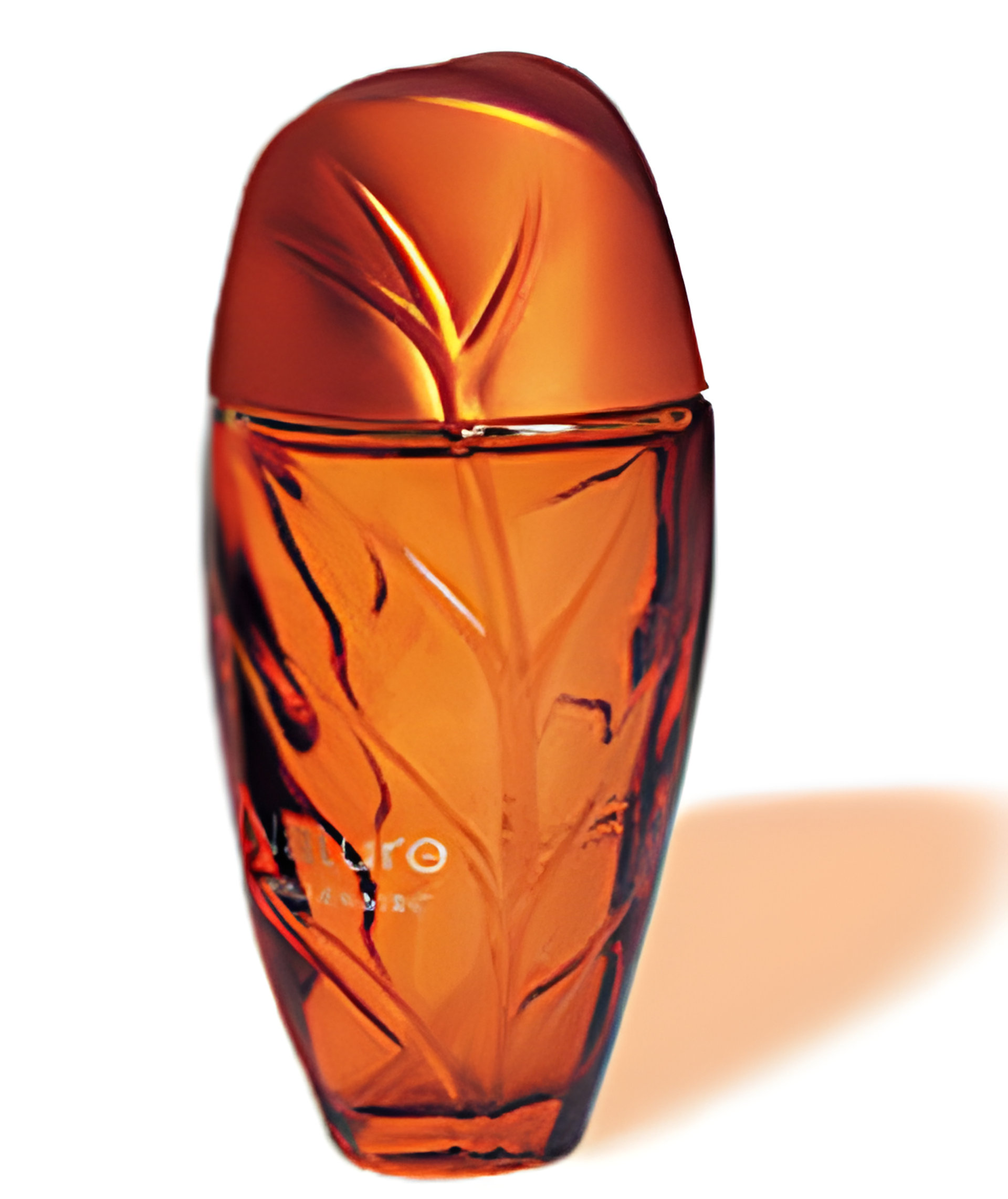 Picture of Nature Millenaire fragrance