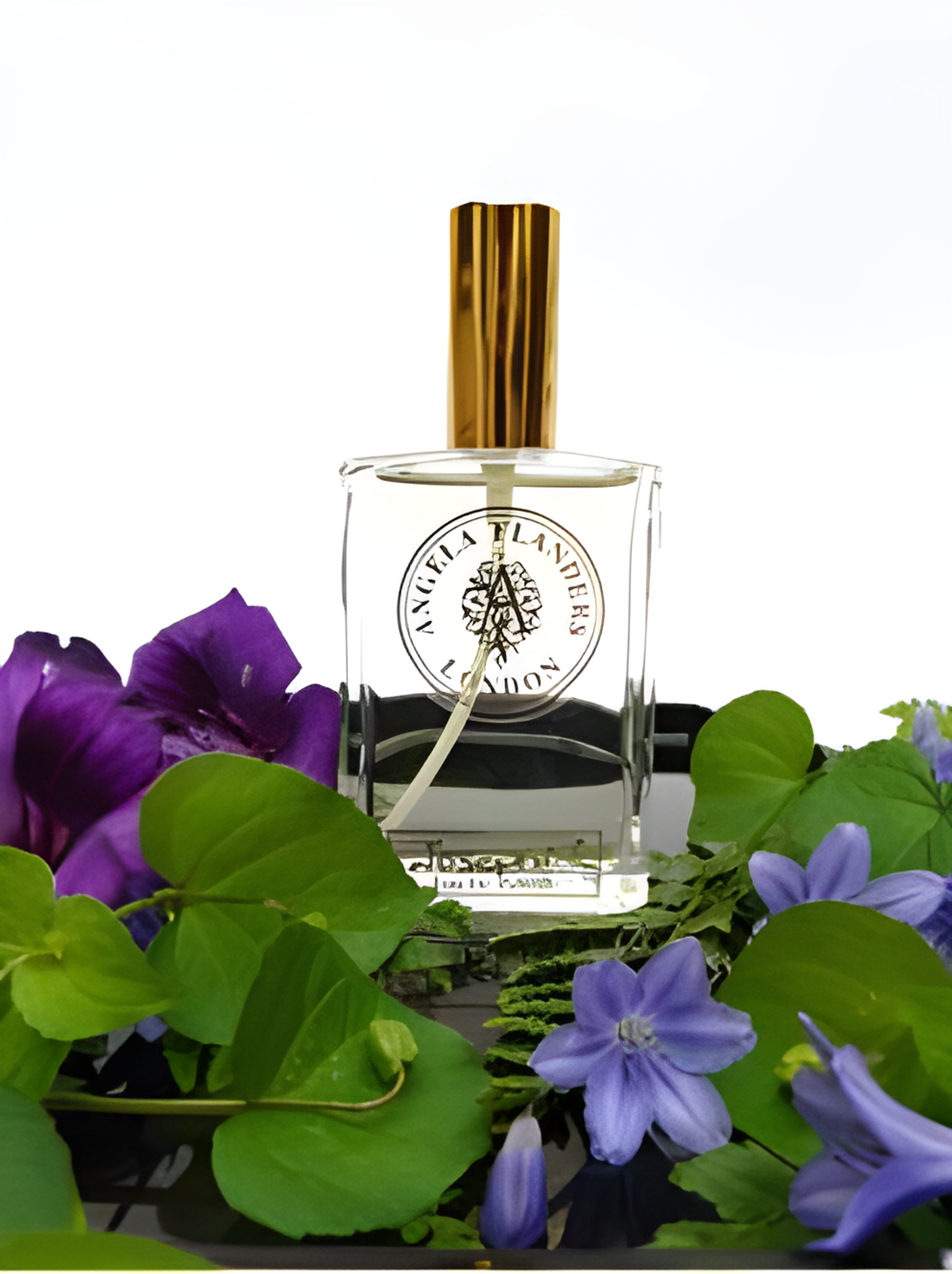 Picture of Josephine fragrance