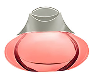 Arabia Felix Collection Tedallal Woman by Agallocha perfume bottle