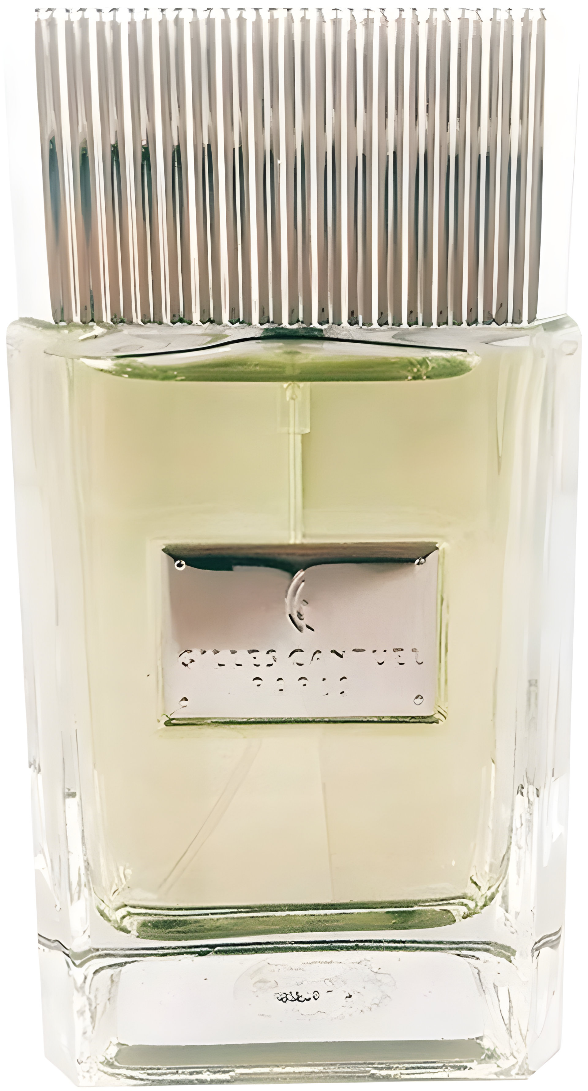 Picture of Gilles Cantuel Silver Eau de Parfum fragrance