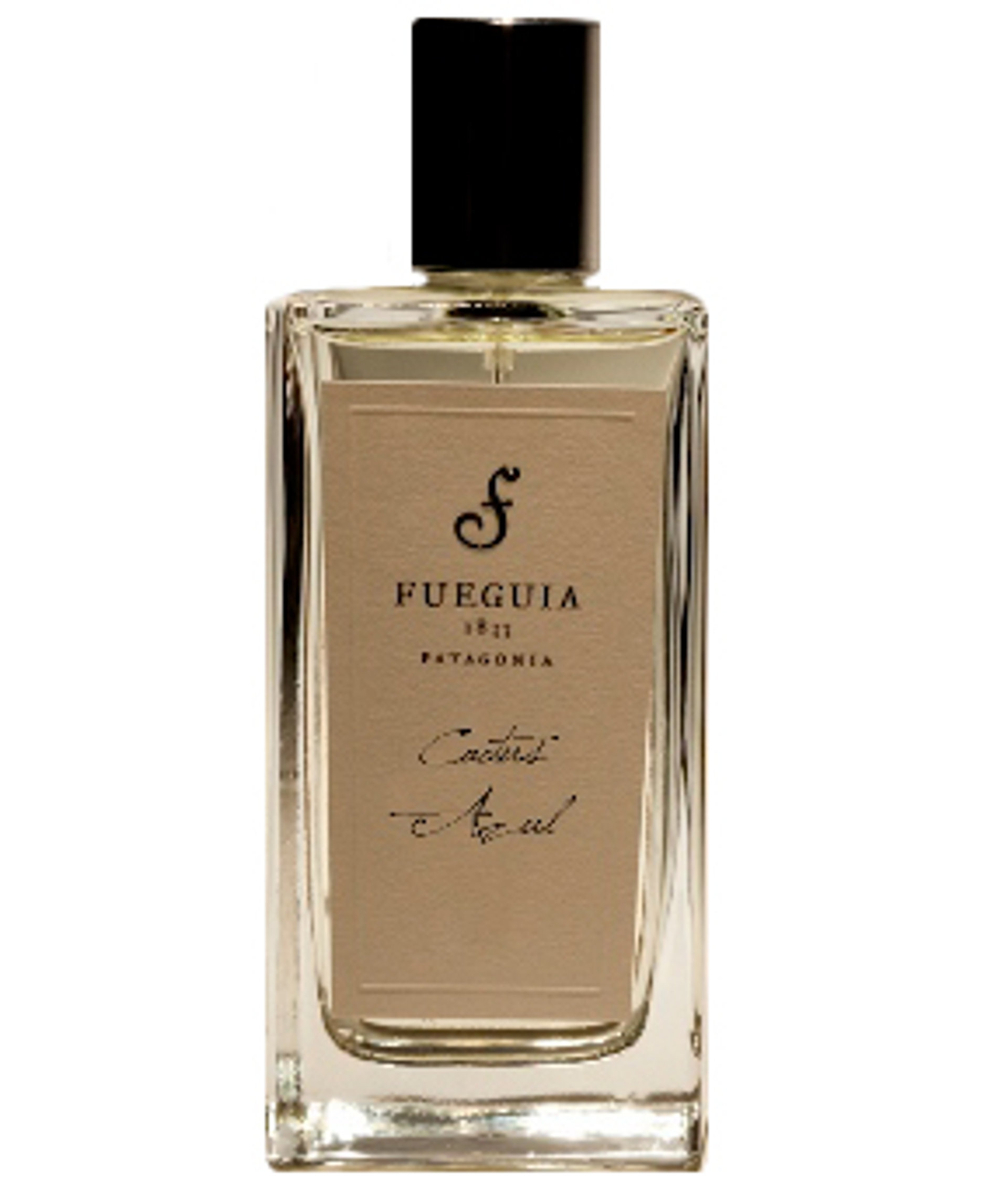 Picture of Cactus Azul fragrance