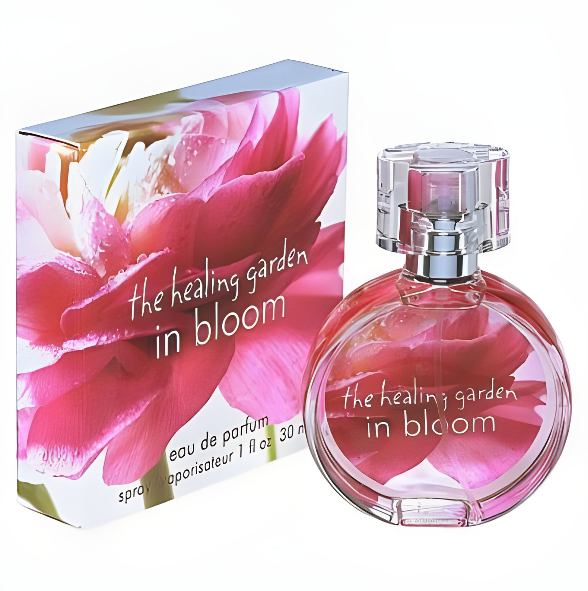 Picture of In Bloom fragrance