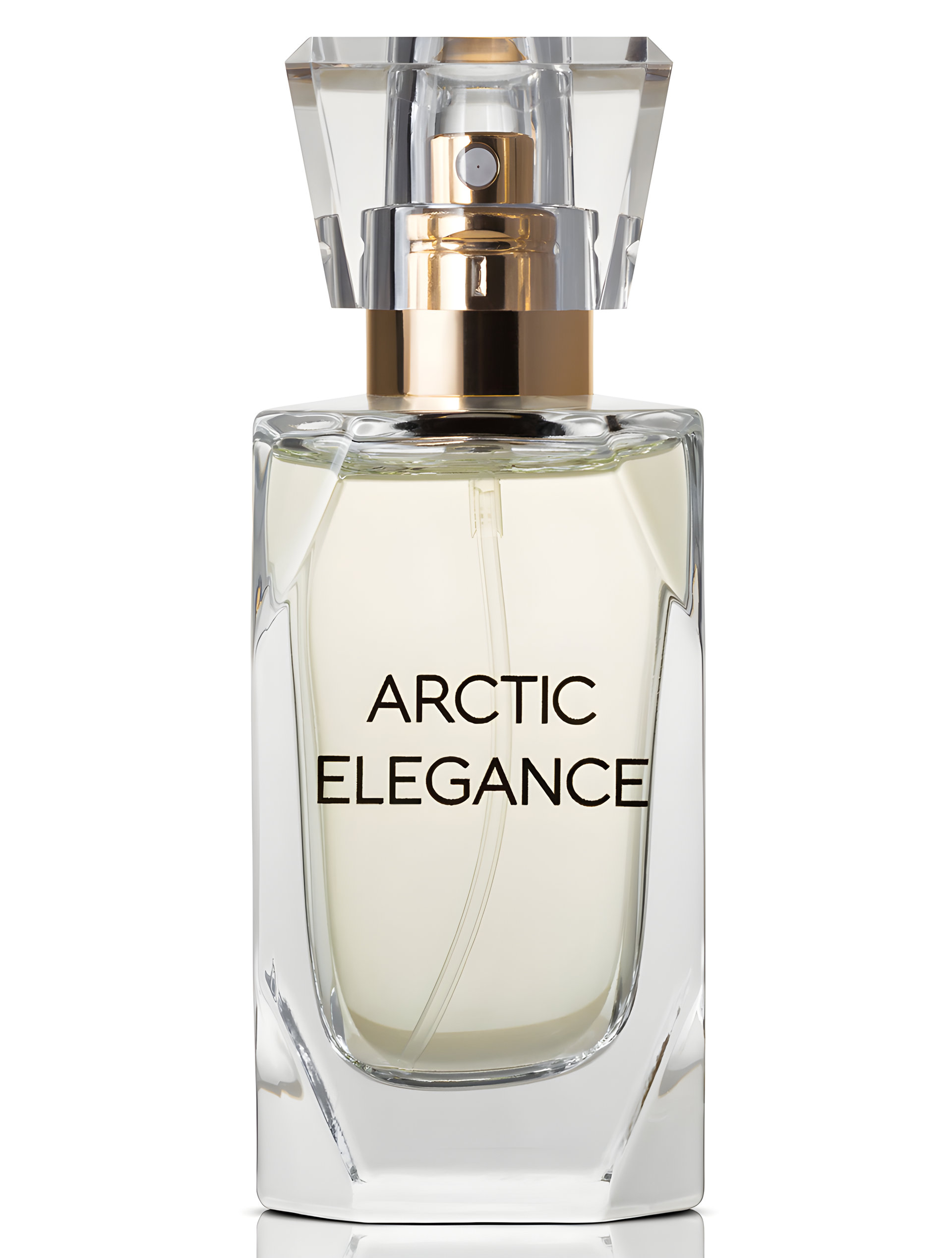 Picture of Arctic Elegance fragrance