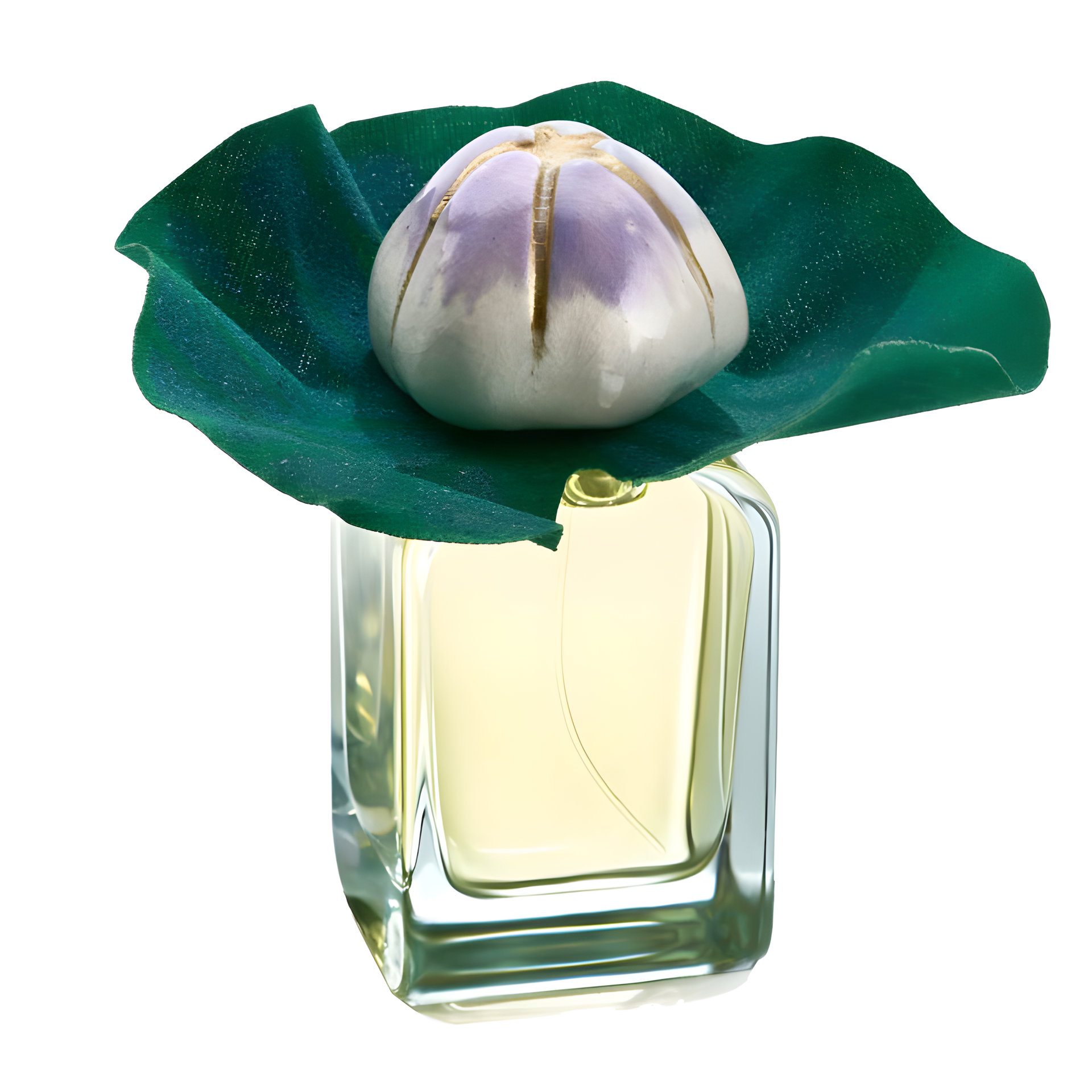 Picture of Mauna fragrance