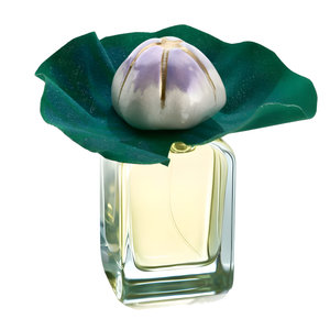Picture of Mauna fragrance