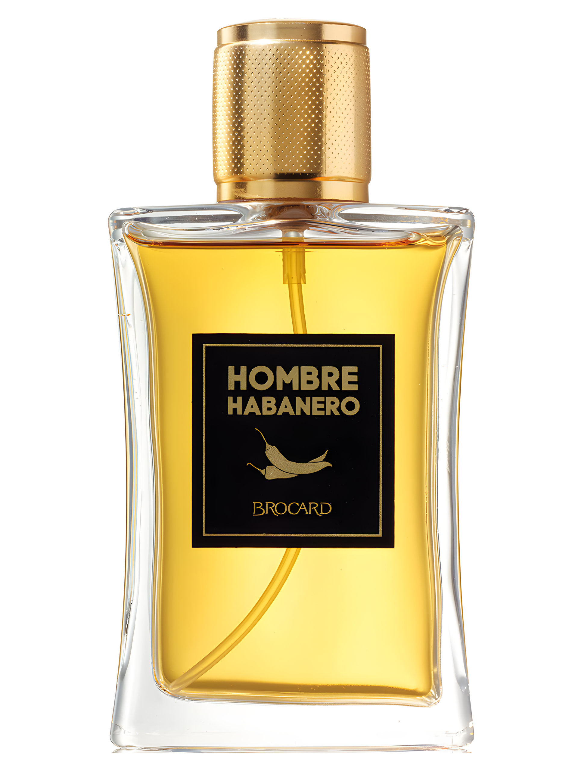 Picture of Hombre Habanero fragrance