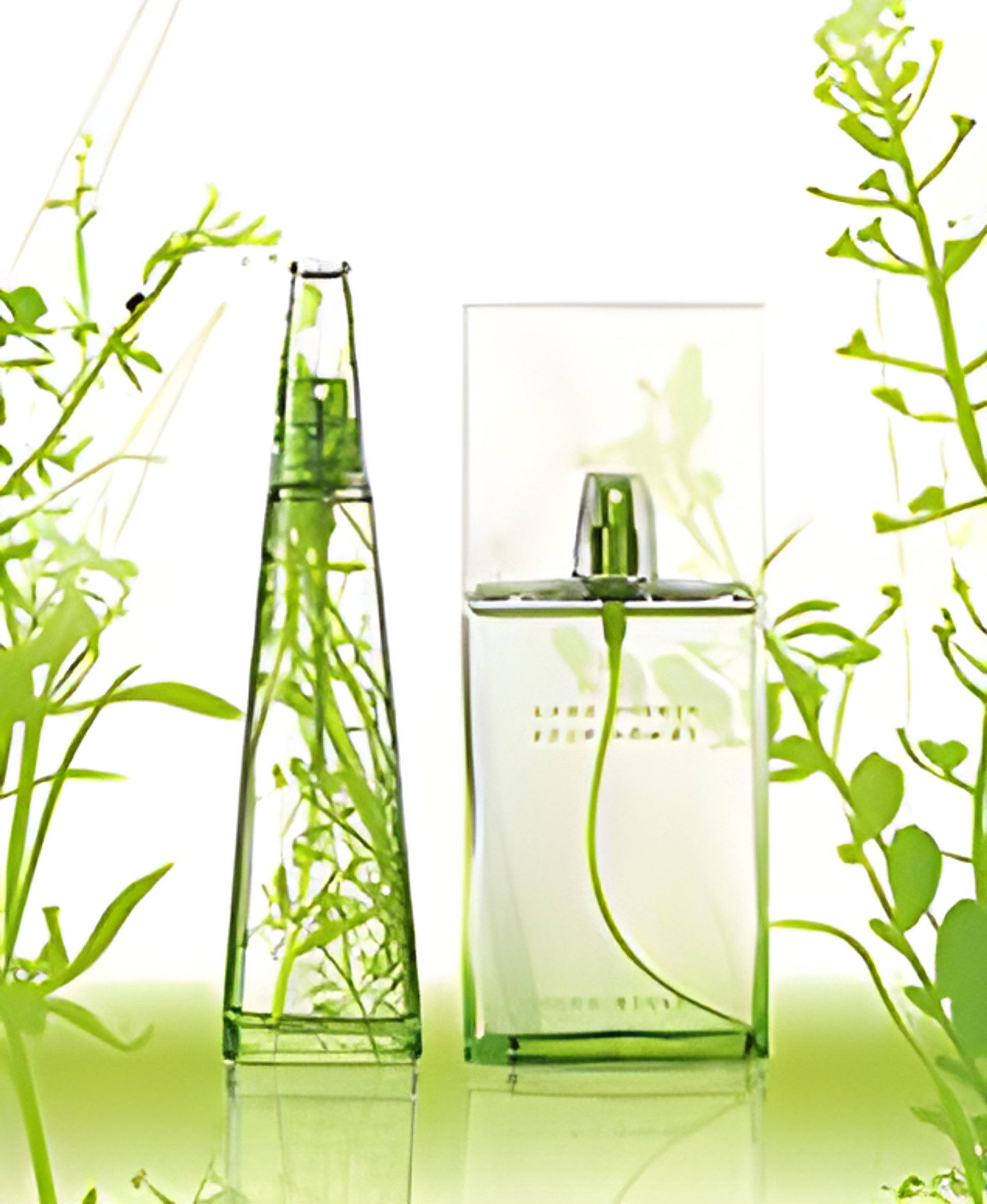 L'Eau d'Issey Summer 2007 Femme by Issey Miyake