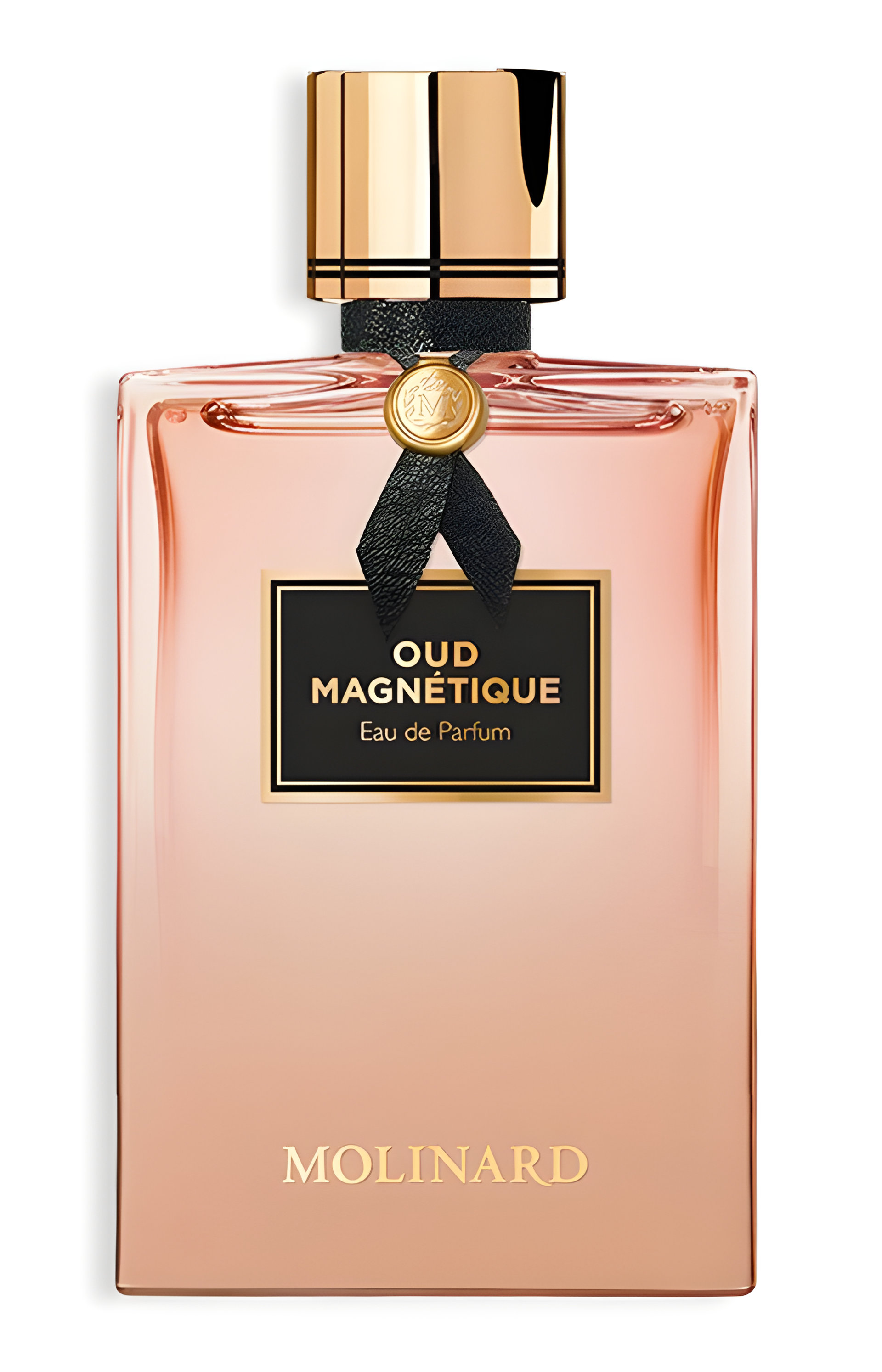 Picture of Oud Magnetique fragrance