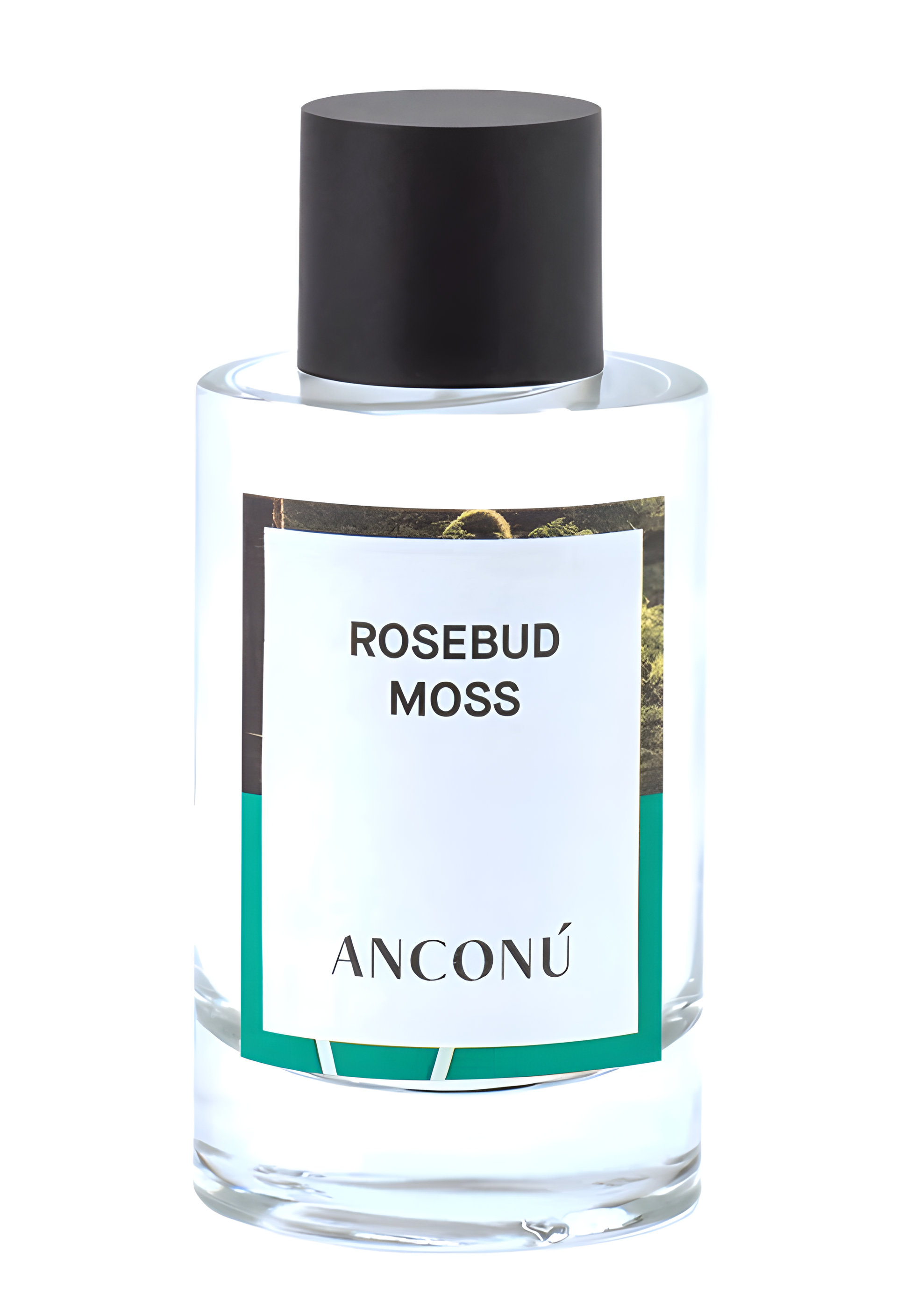 Picture of Rosebud Moss fragrance