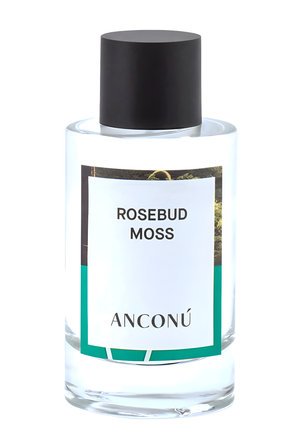 Rosebud Moss by Anconu perfume bottle