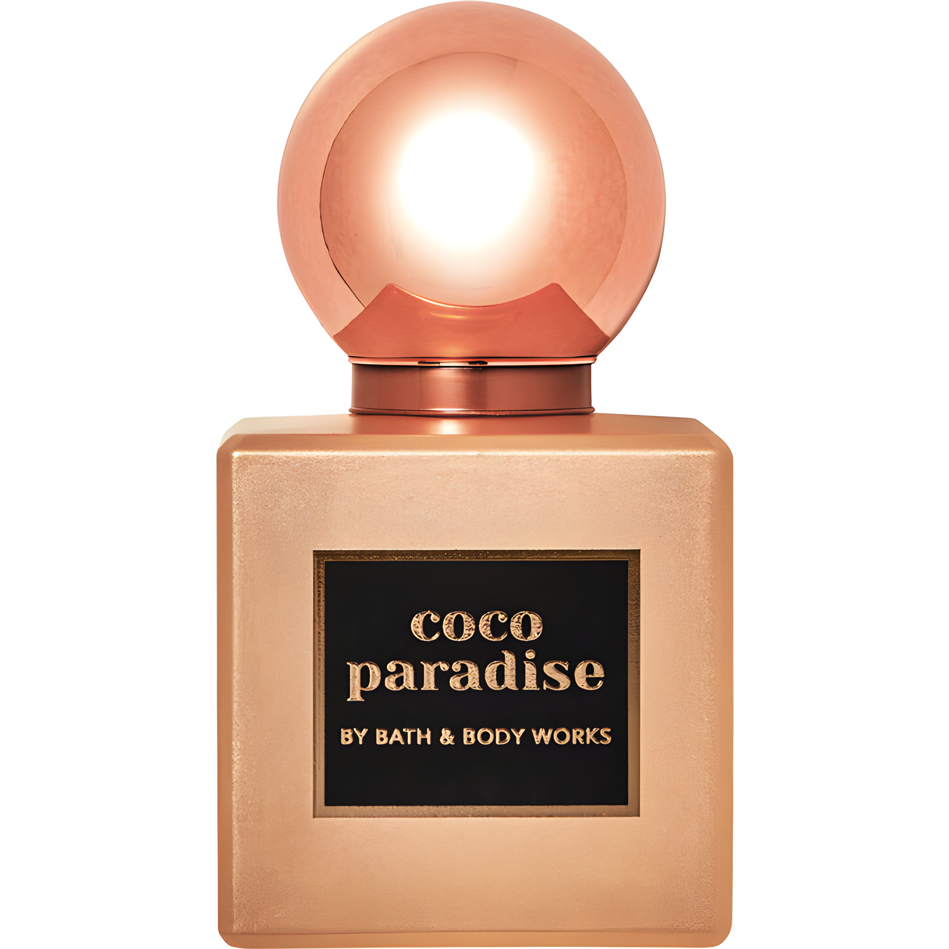 Picture of Coco Paradise Eau de Parfum fragrance