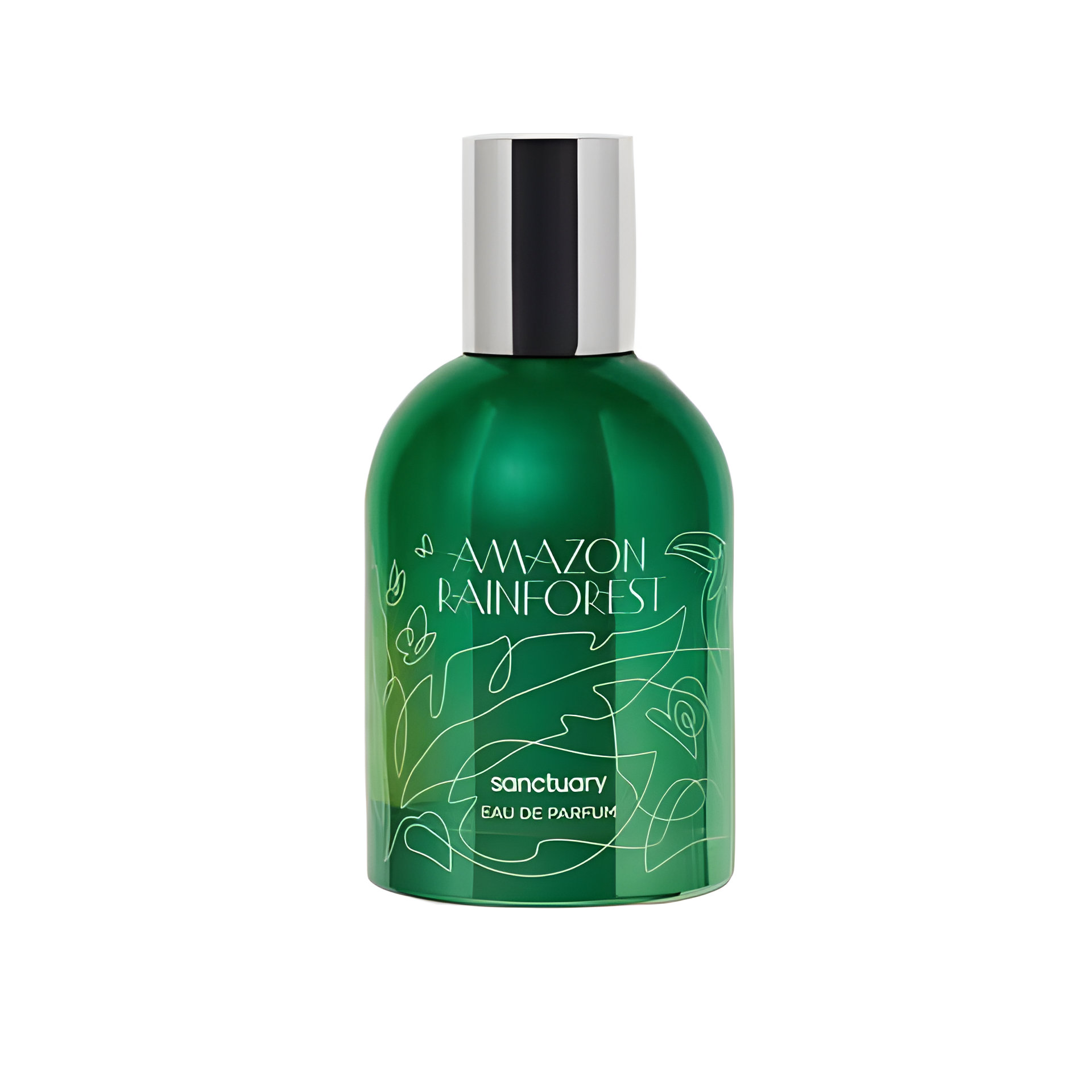 Picture of Amazon Rainforest fragrance