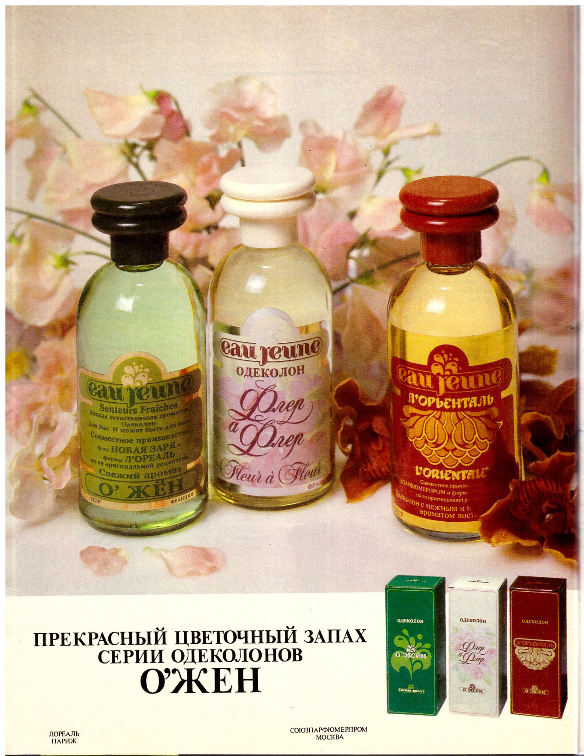 Picture of Eau Jeune L'Orientale fragrance