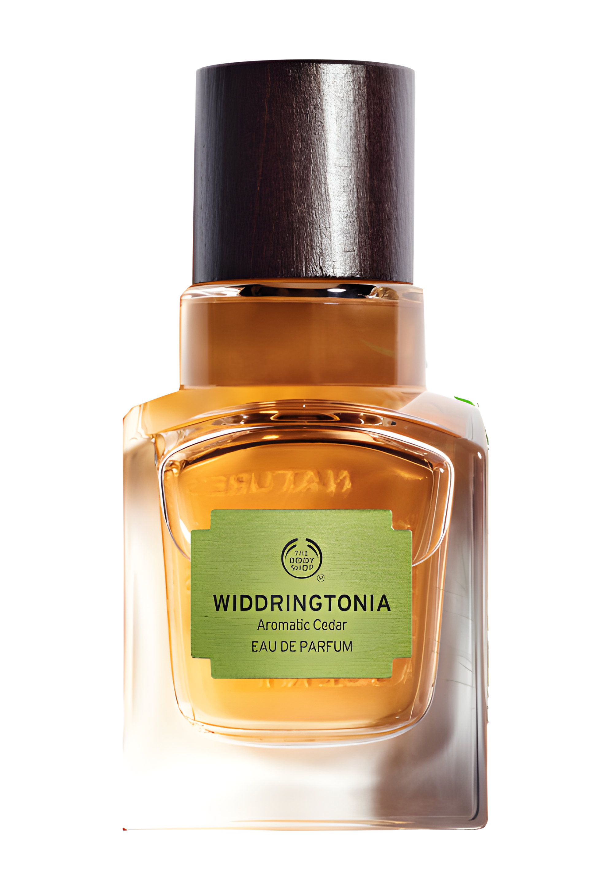 Picture of Widdringtonia fragrance