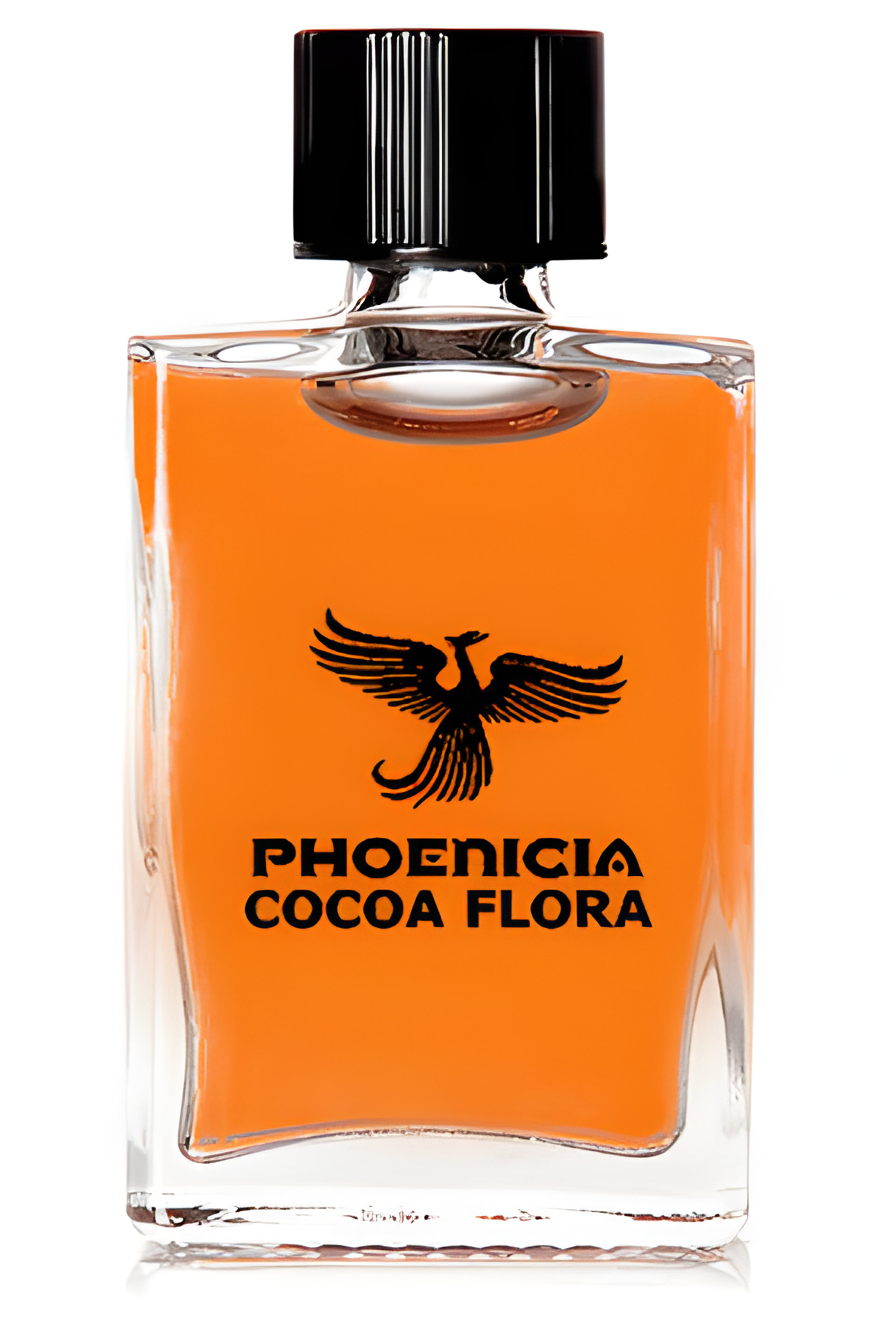 Picture of Cocoa Flora fragrance
