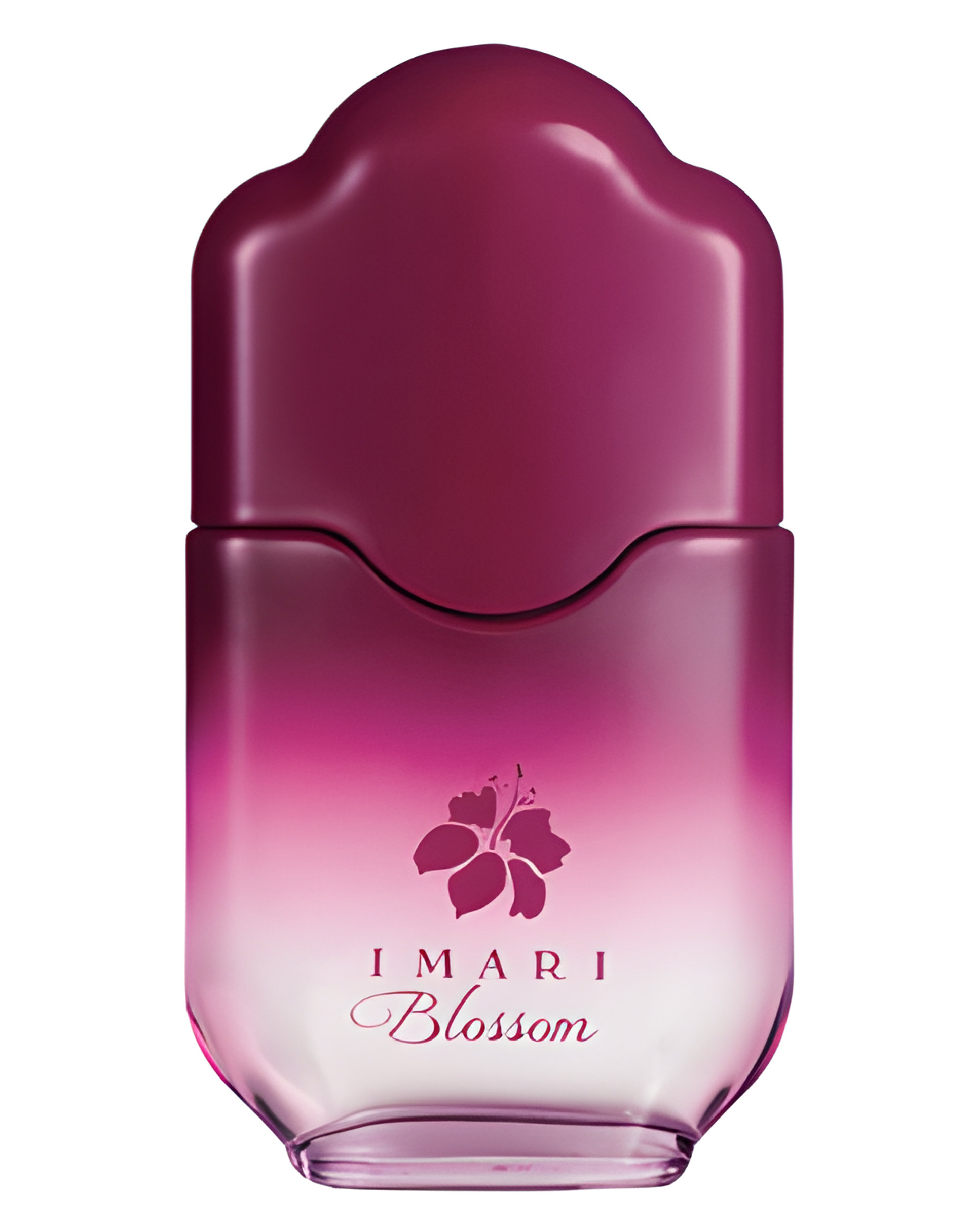 Picture of Imari Blossom fragrance