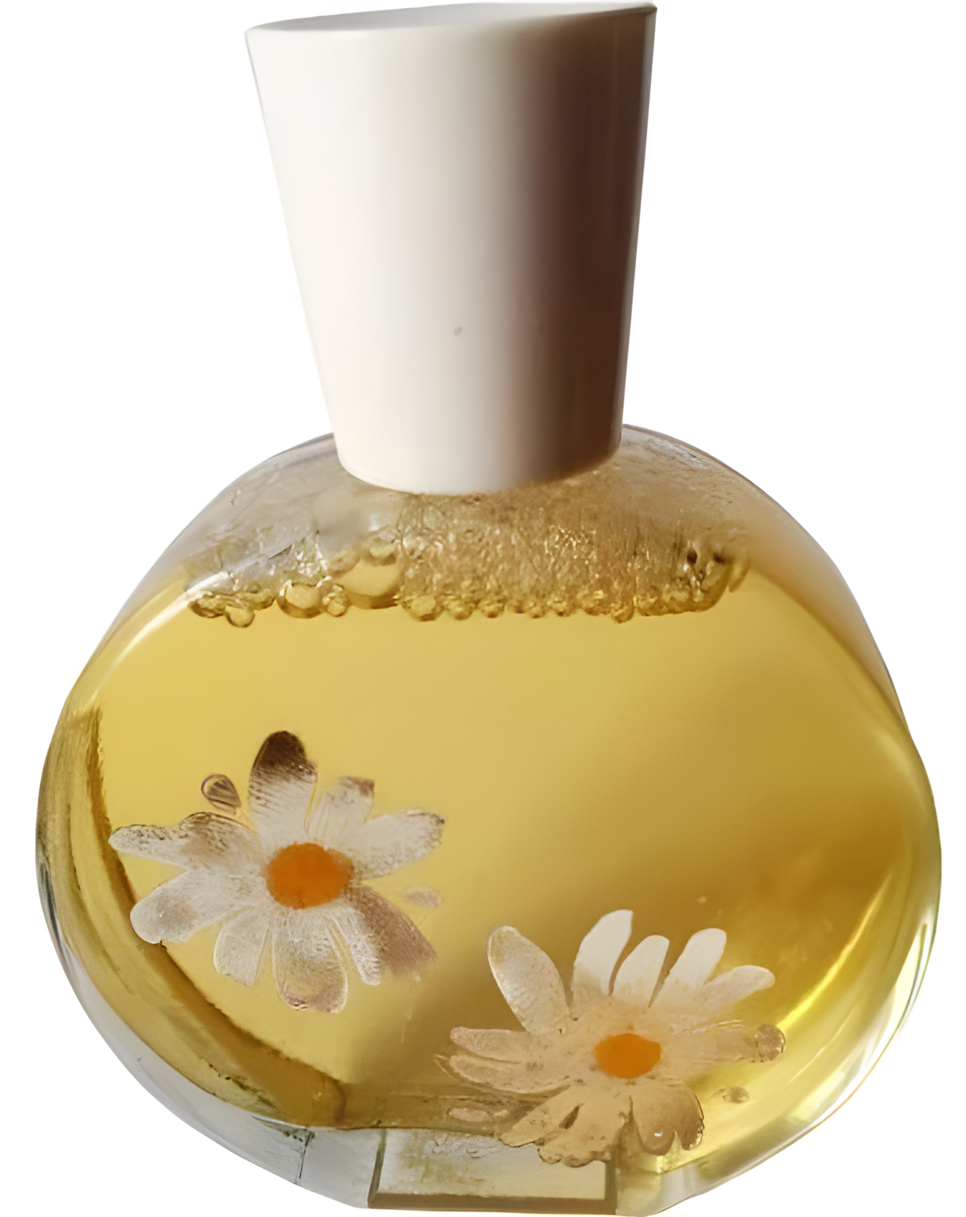 Picture of Delicate Daisy fragrance