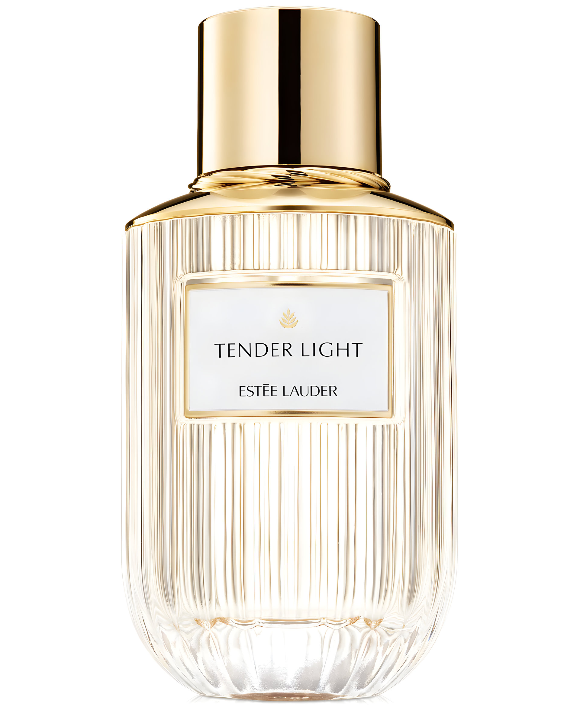 Picture of Tender Light fragrance