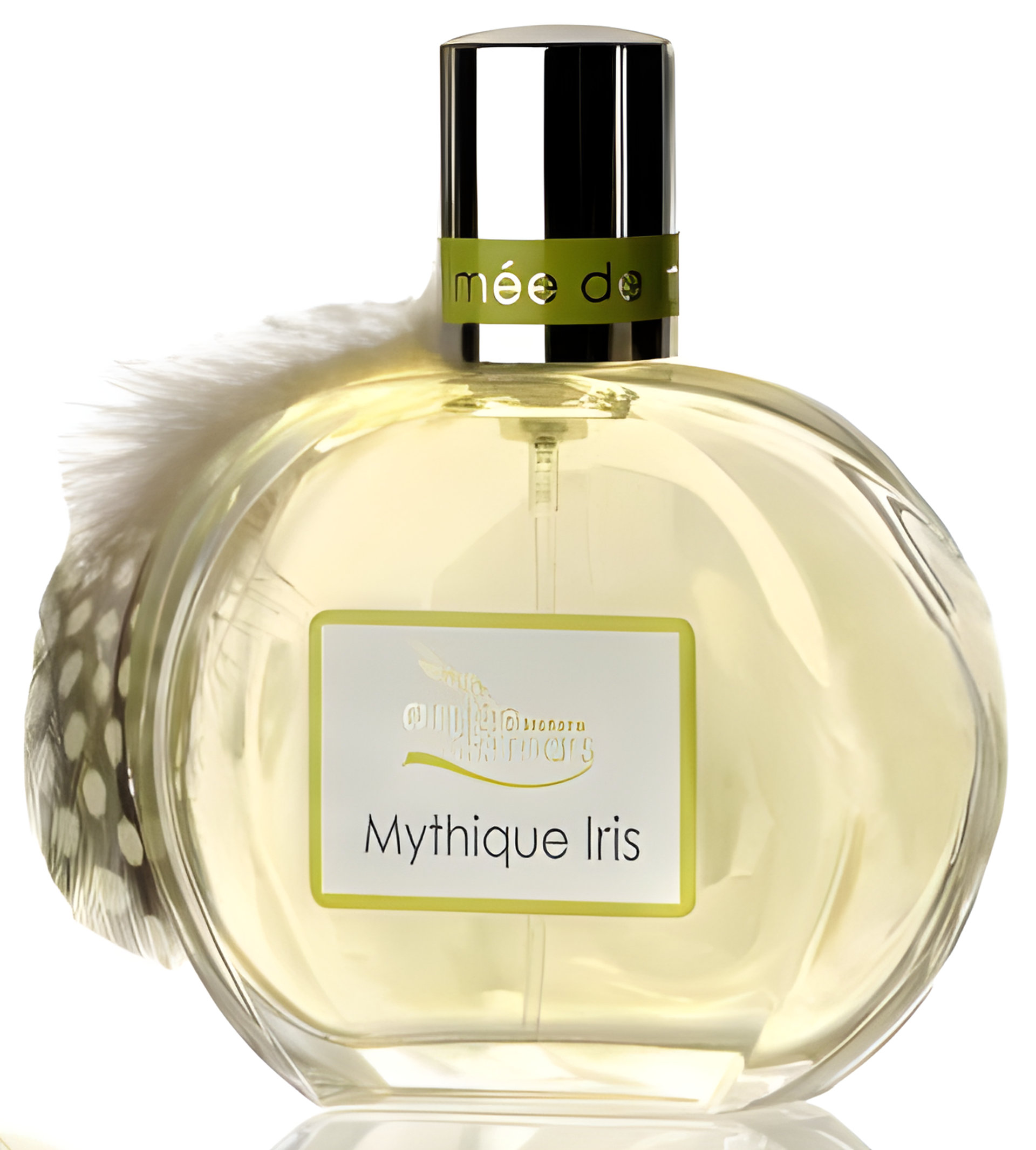 Picture of Mythique Iris (Mythical Iris) fragrance