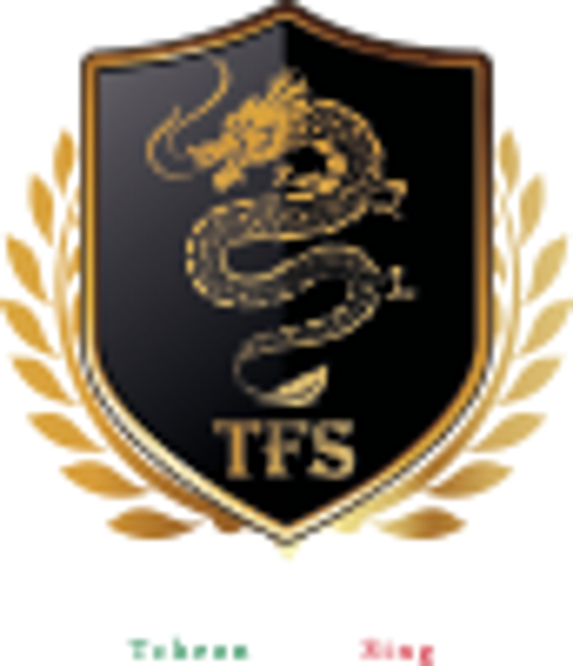 Picture of TFS brand
