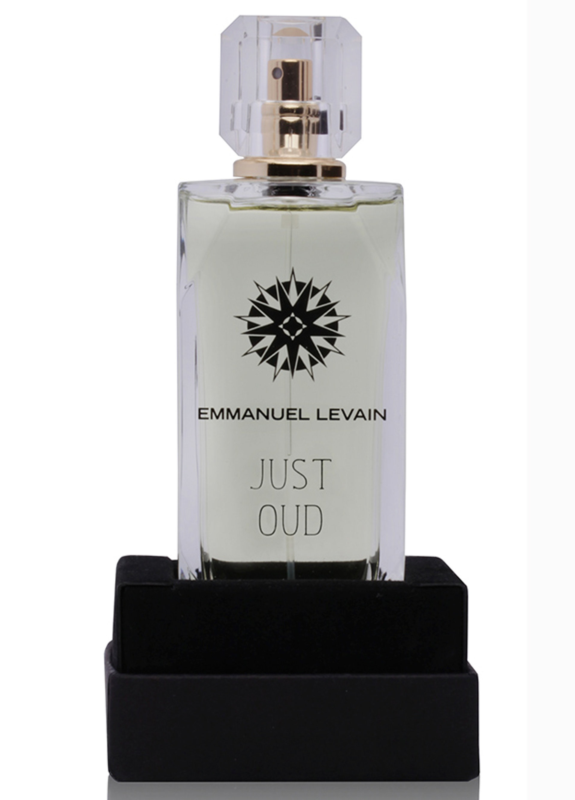 Picture of Just Oud fragrance