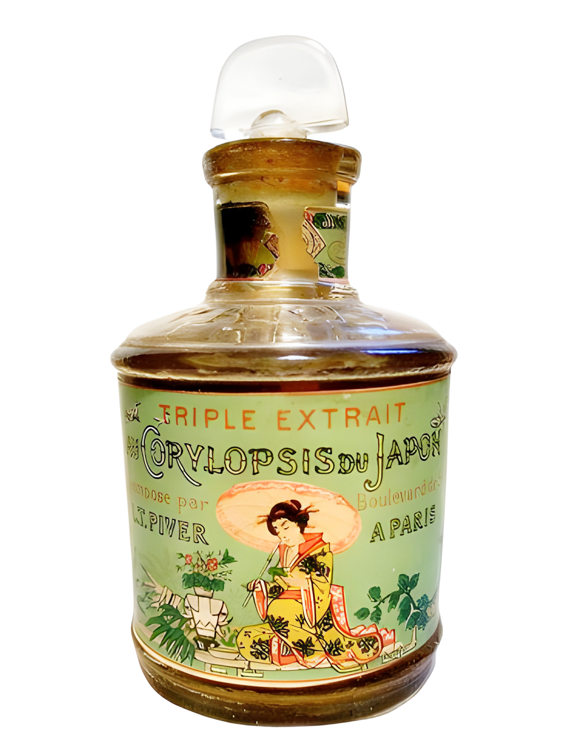 Corylopsis Du Japon by L.T. Piver