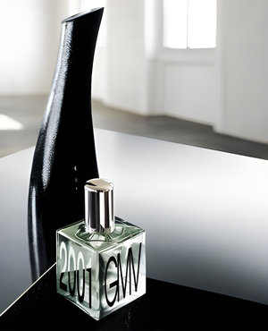GMV 2001 by GianMarco Venturi perfume bottle