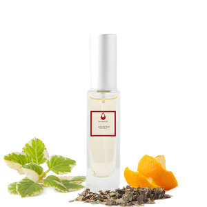 Jeux Du Vent by FL Parfums perfume bottle