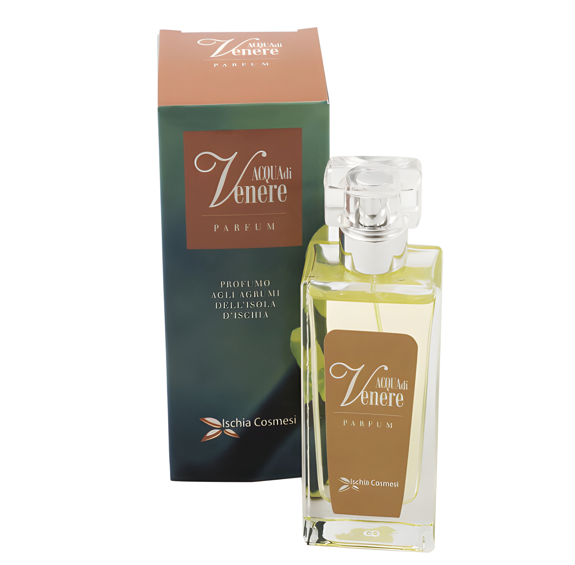 Picture of Acqua Di Venere fragrance