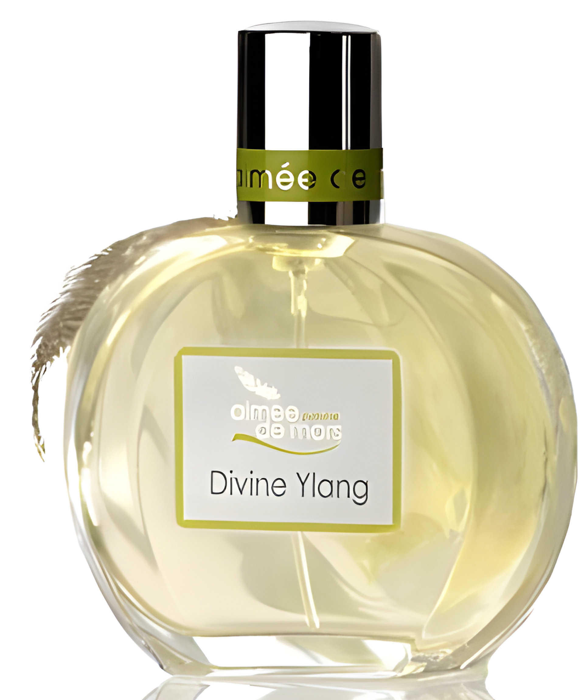 Picture of Divine Ylang fragrance