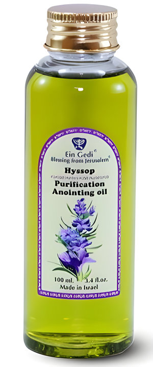 Hyssop Anointing Oil by Ein Gedi perfume bottle