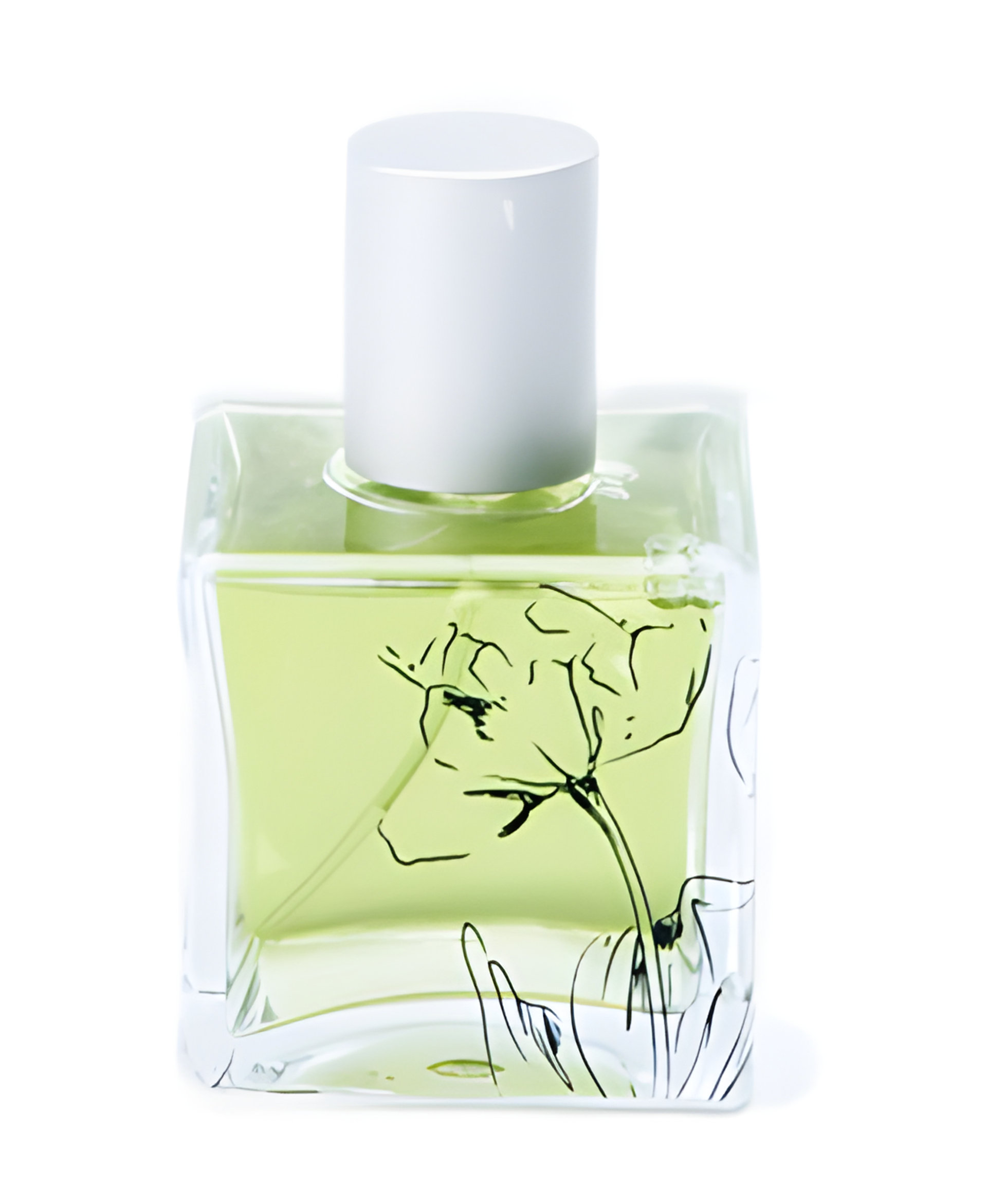 Picture of Buddha’s Fig fragrance