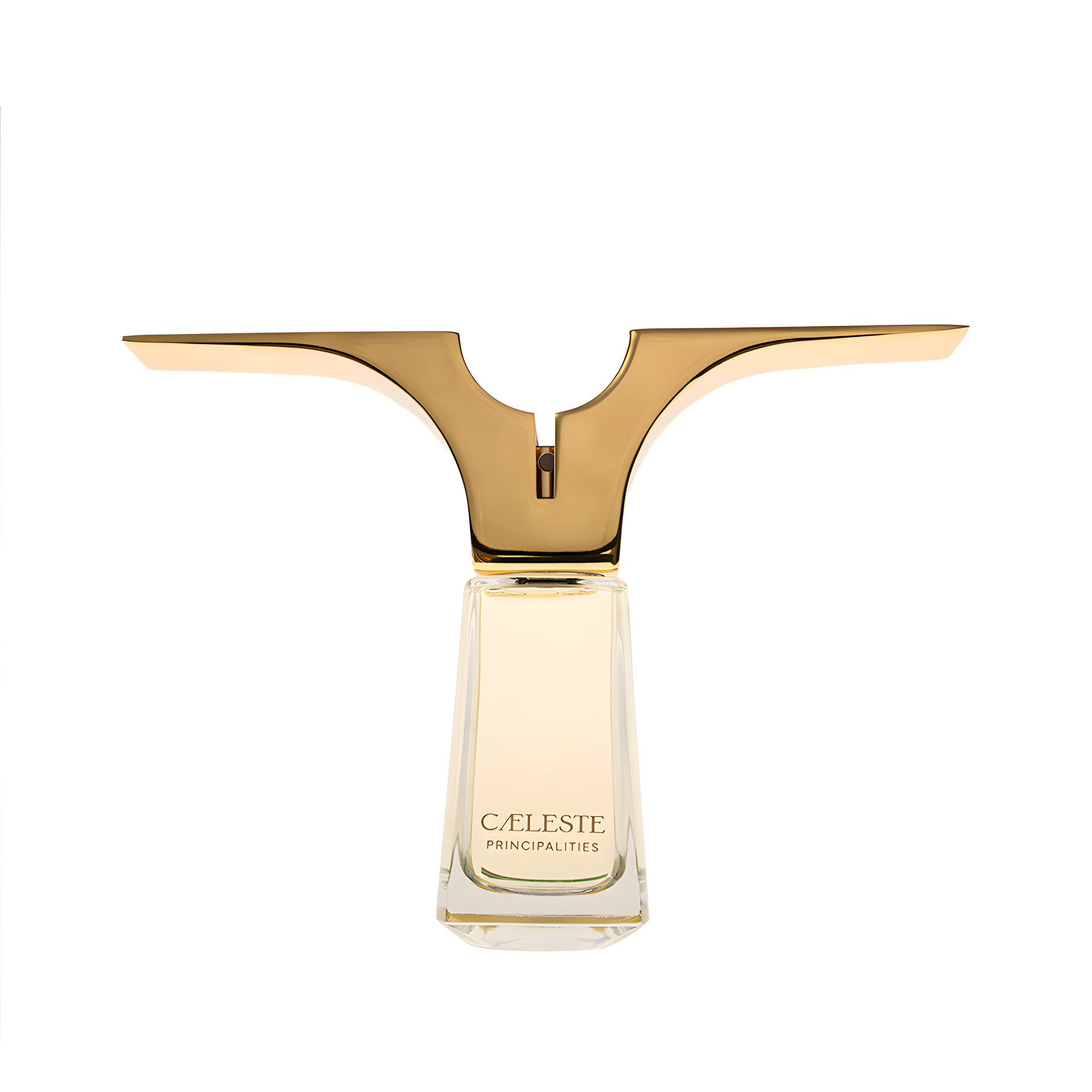 Picture of Principalities fragrance