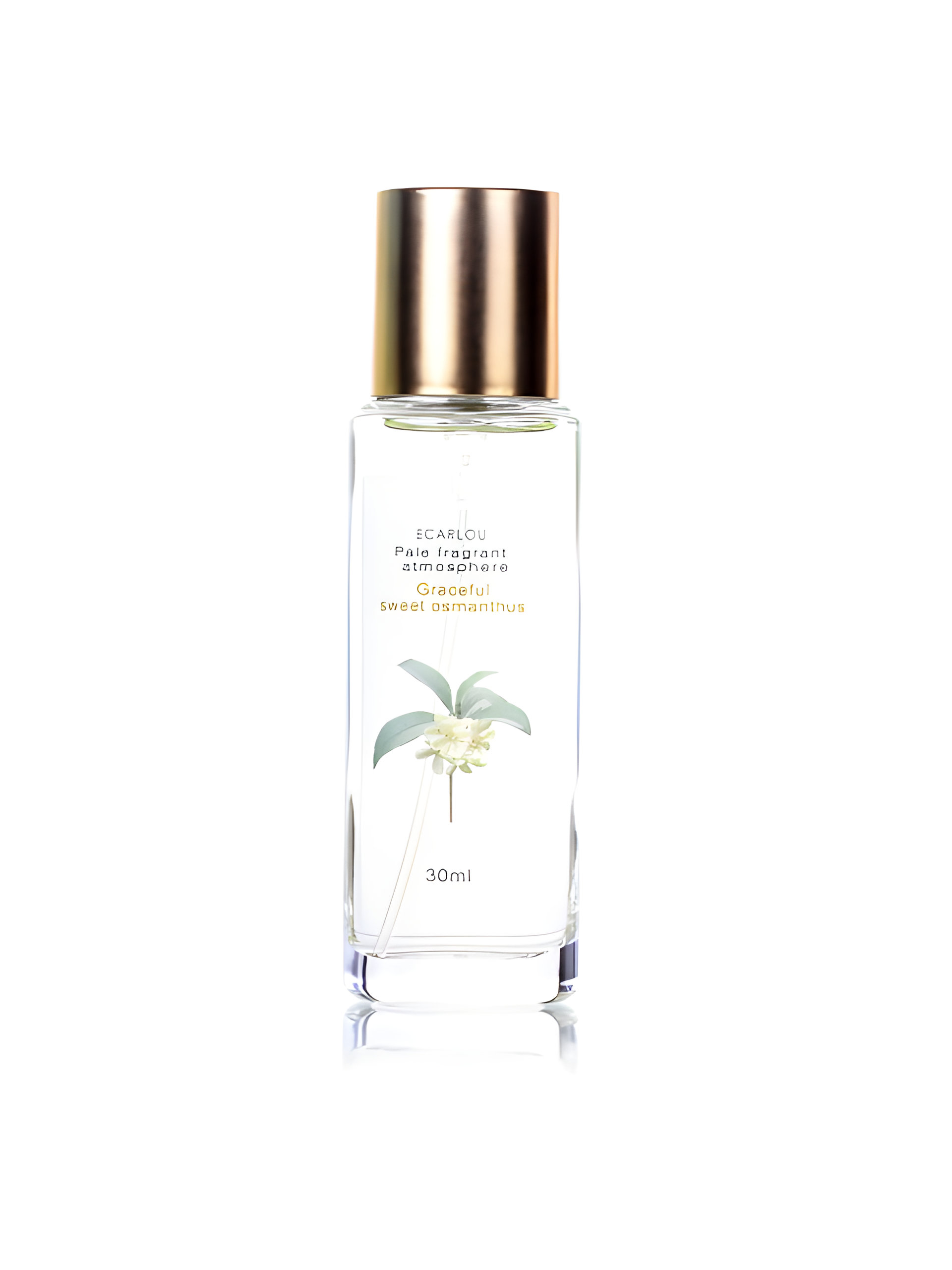 Picture of Graceful Sweet Osmanthus 优雅金桂 fragrance