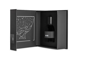 True Steel by Parfum Buro perfume bottle