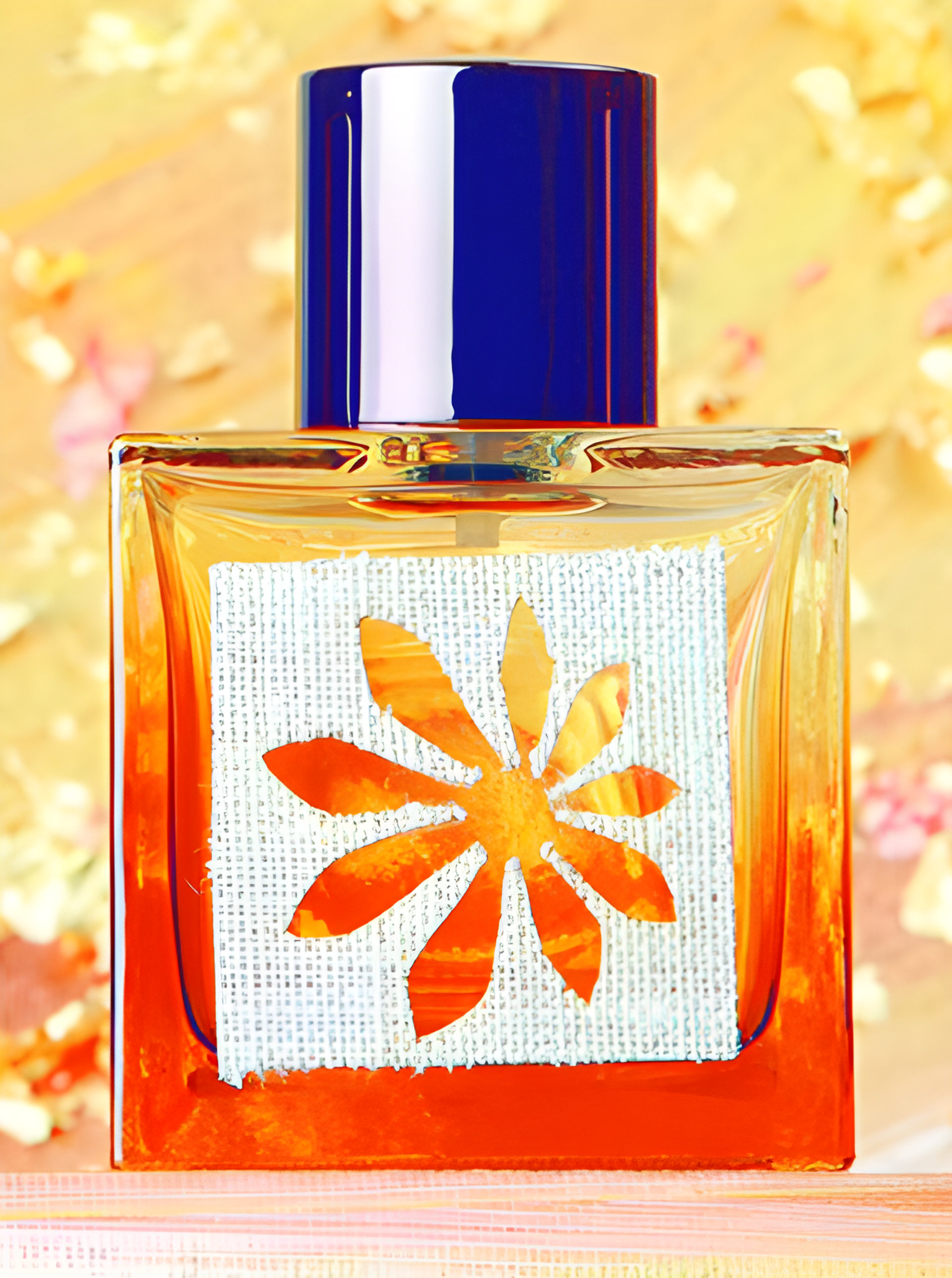 Picture of Vanille Orient fragrance