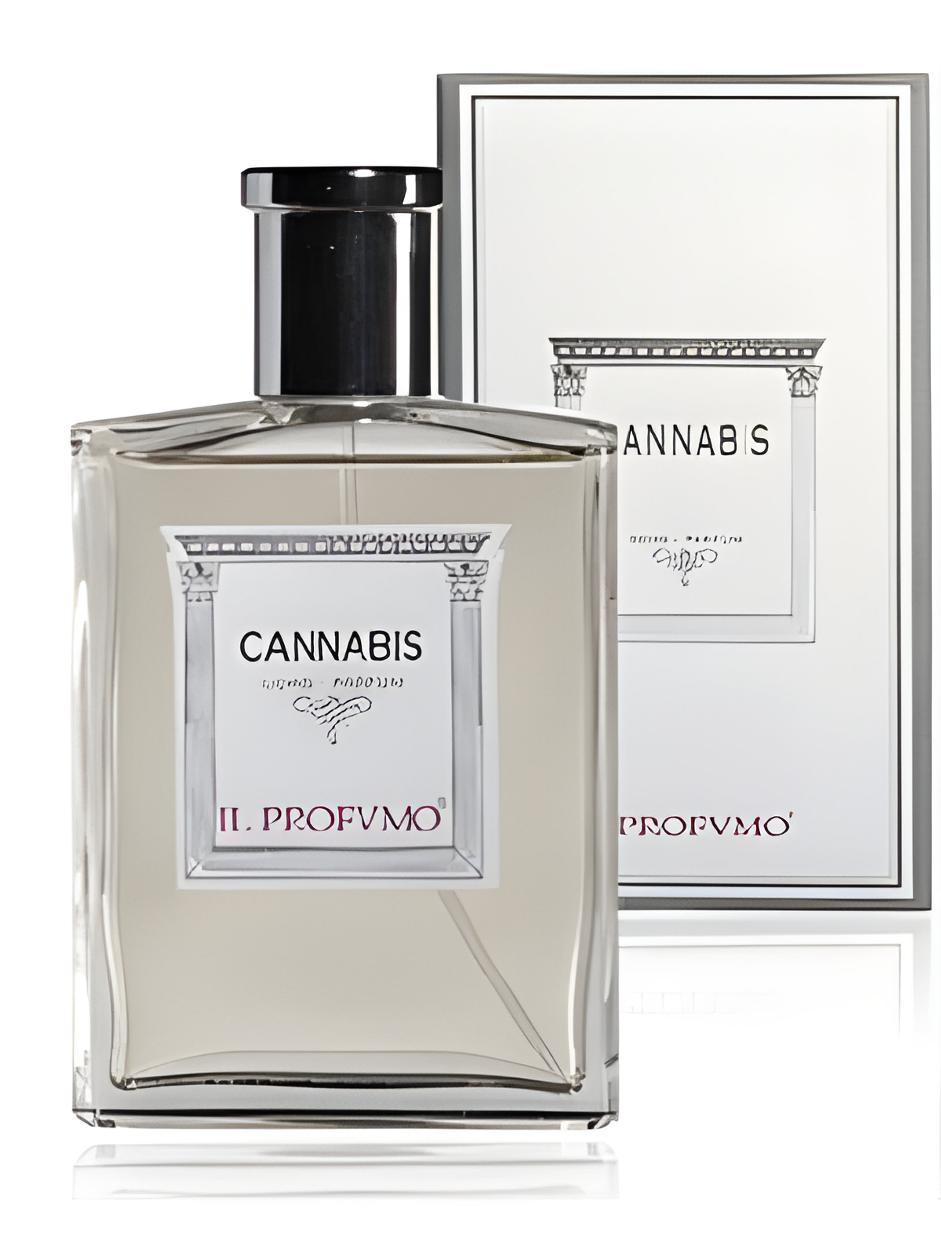 Osmo Scents Cannabis by Il Profvmo