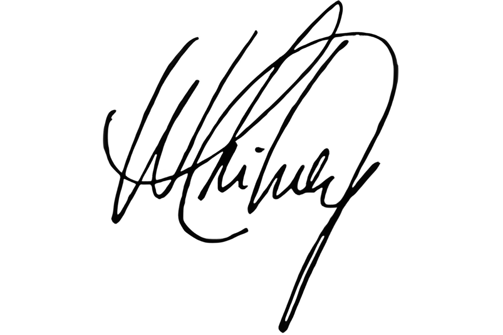 Picture of Whitney Houston brand