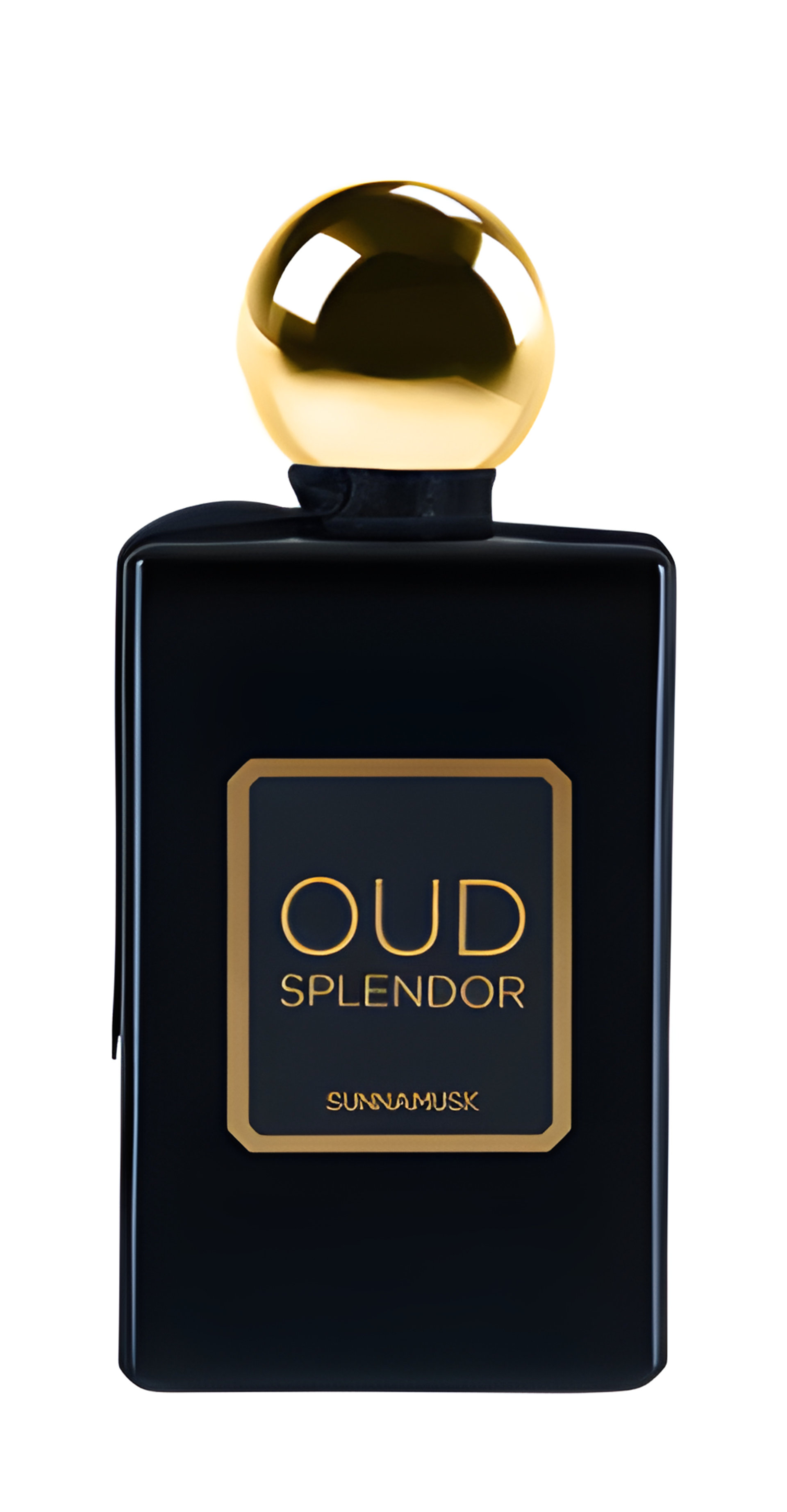 Picture of Oud Splendor fragrance