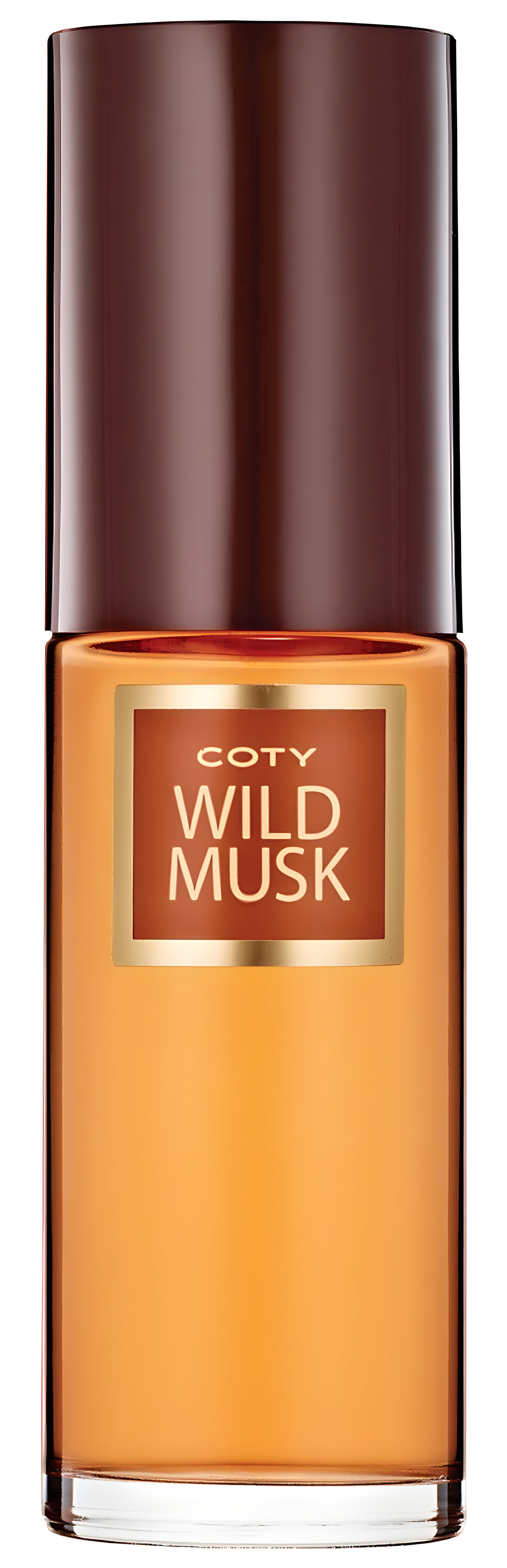 Picture of Wild Musk fragrance