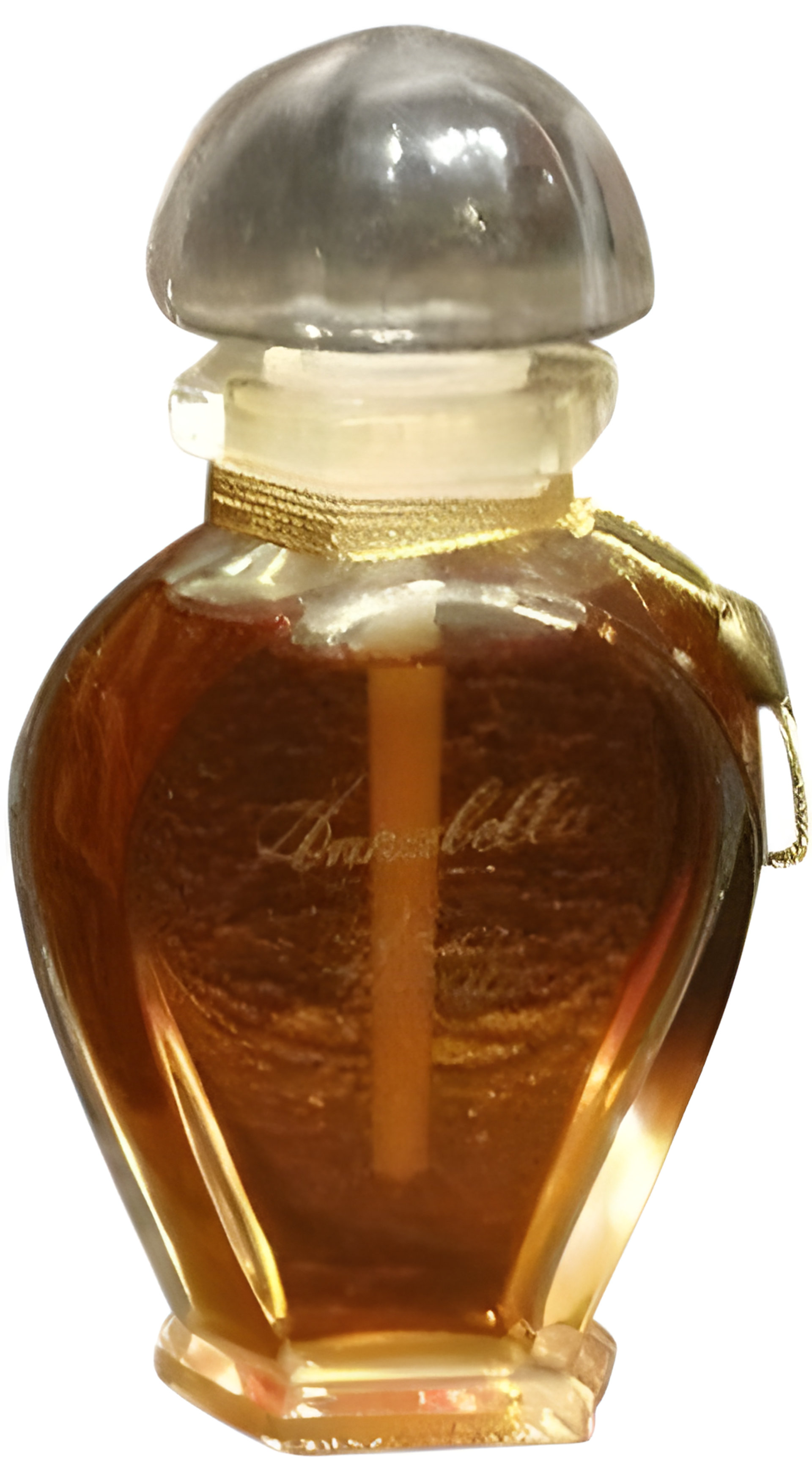 Picture of Vison Sauvage Parfum fragrance