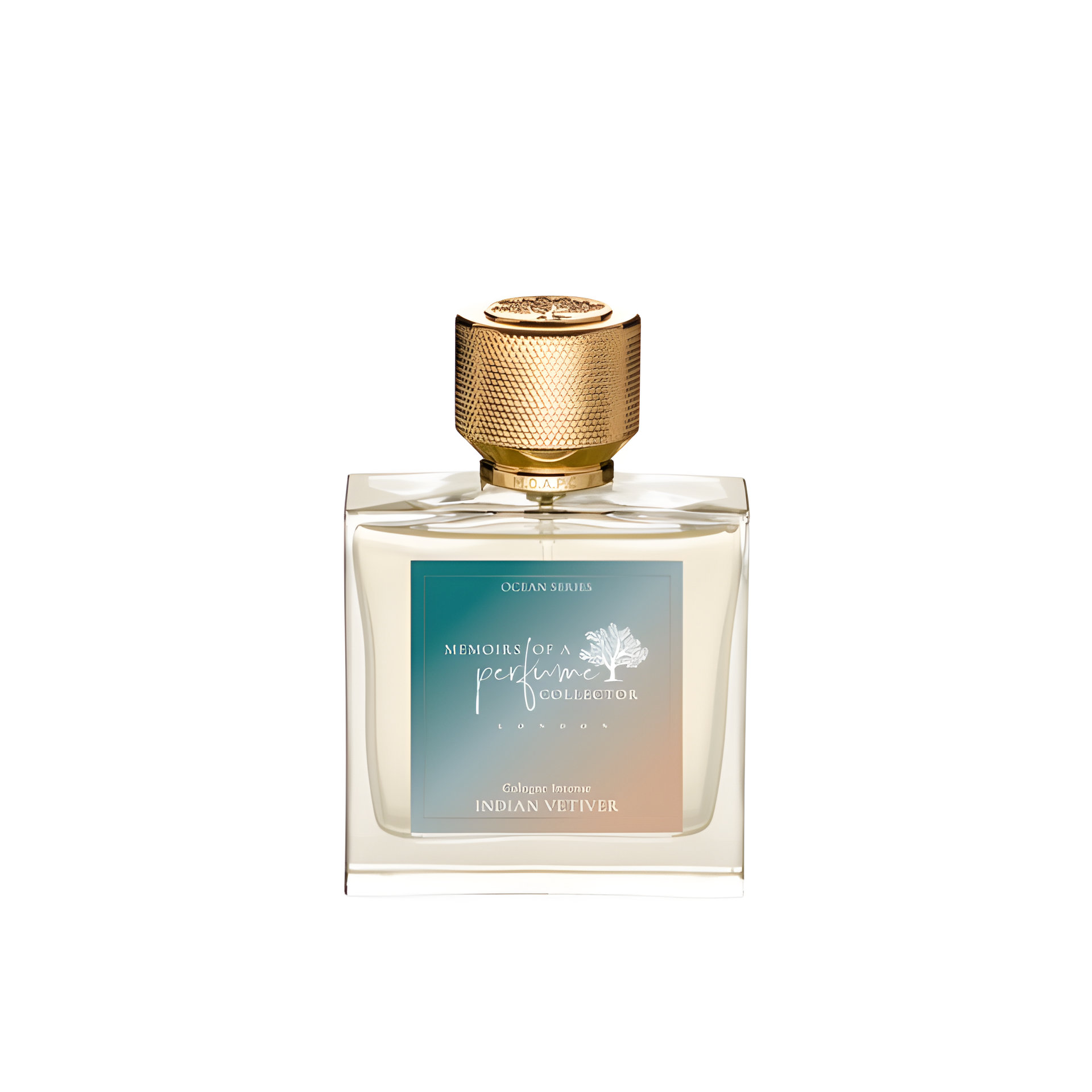 Picture of Indian Vetiver fragrance
