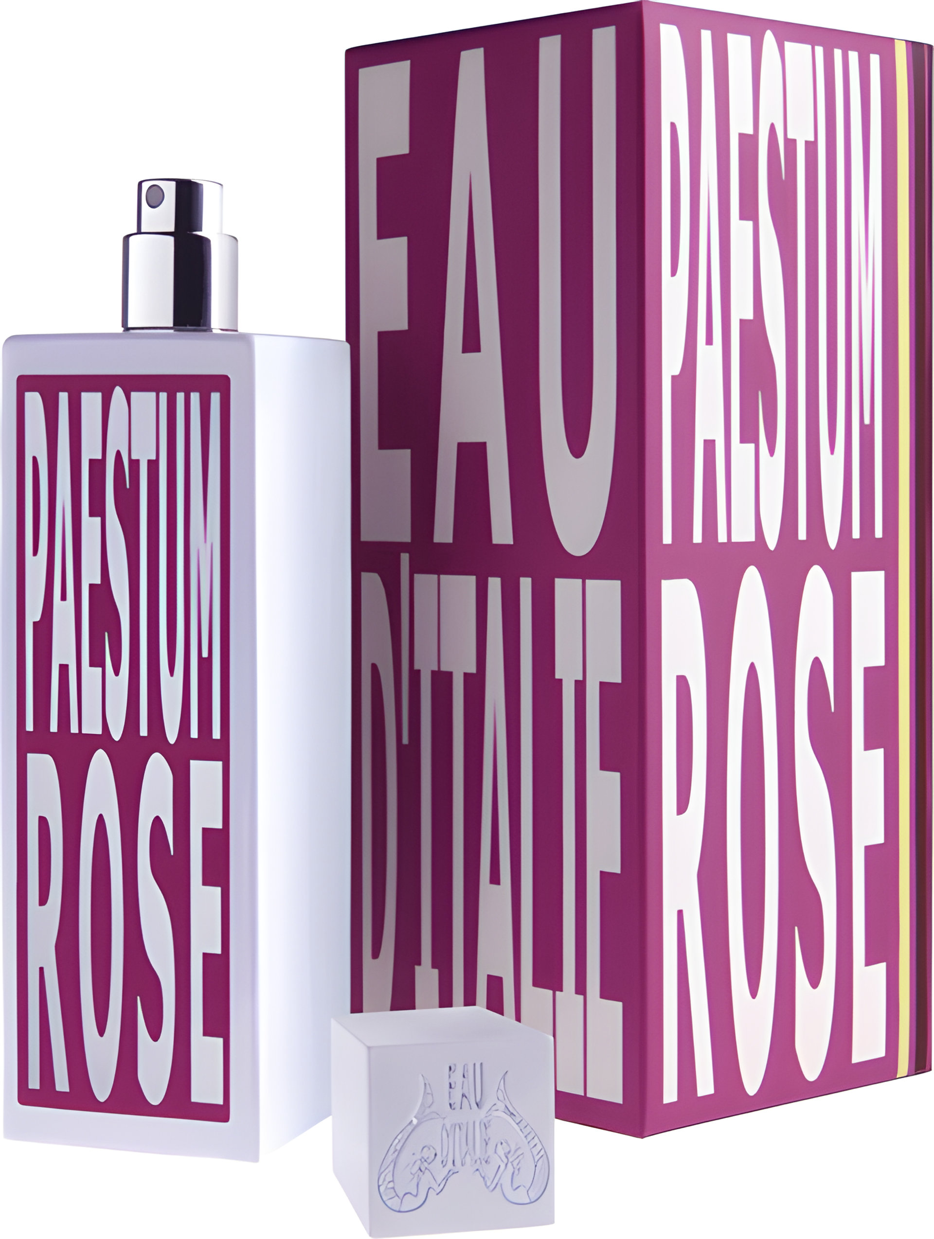 Picture of Paestum Rose fragrance
