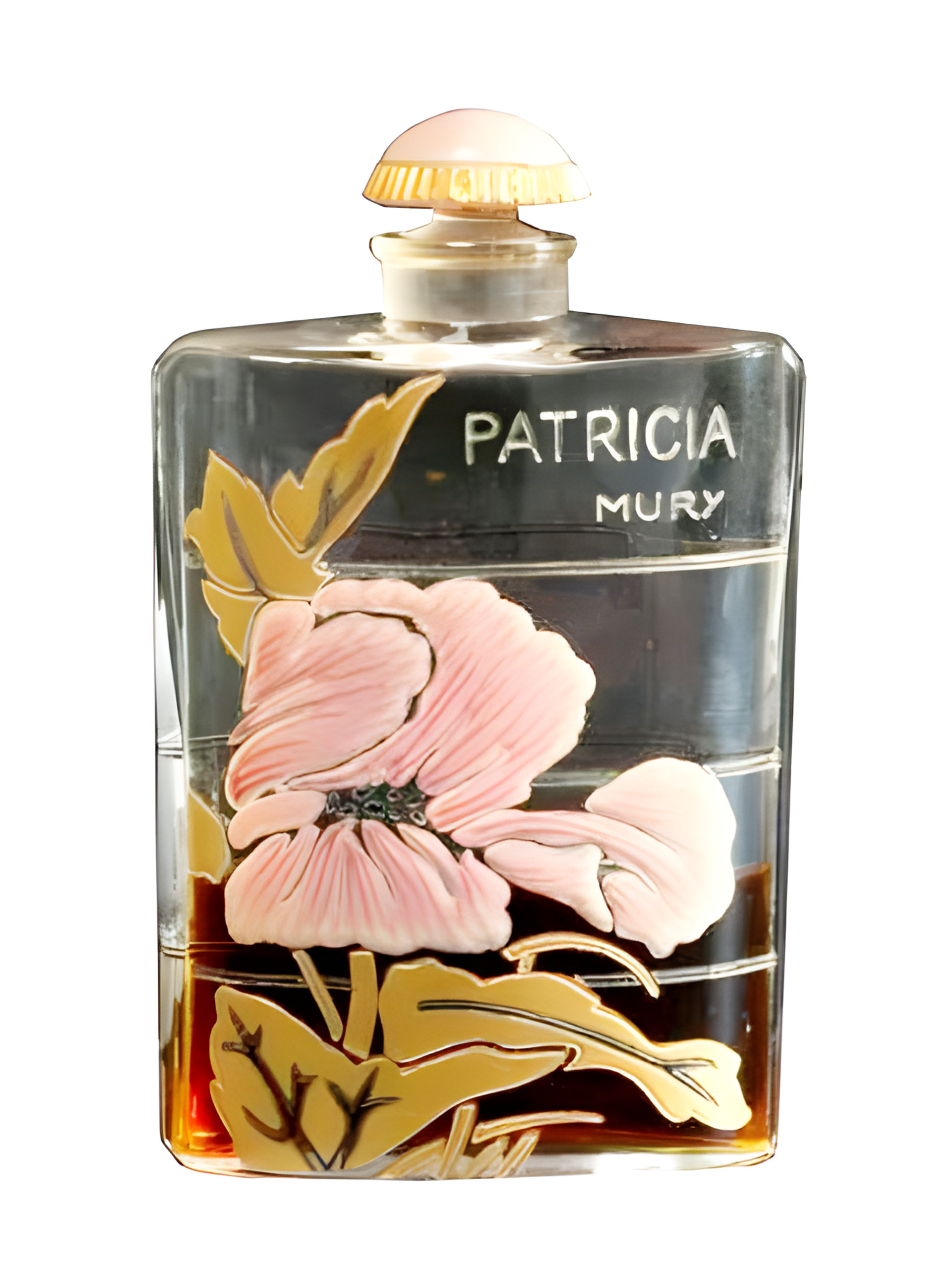 Picture of Patricia fragrance